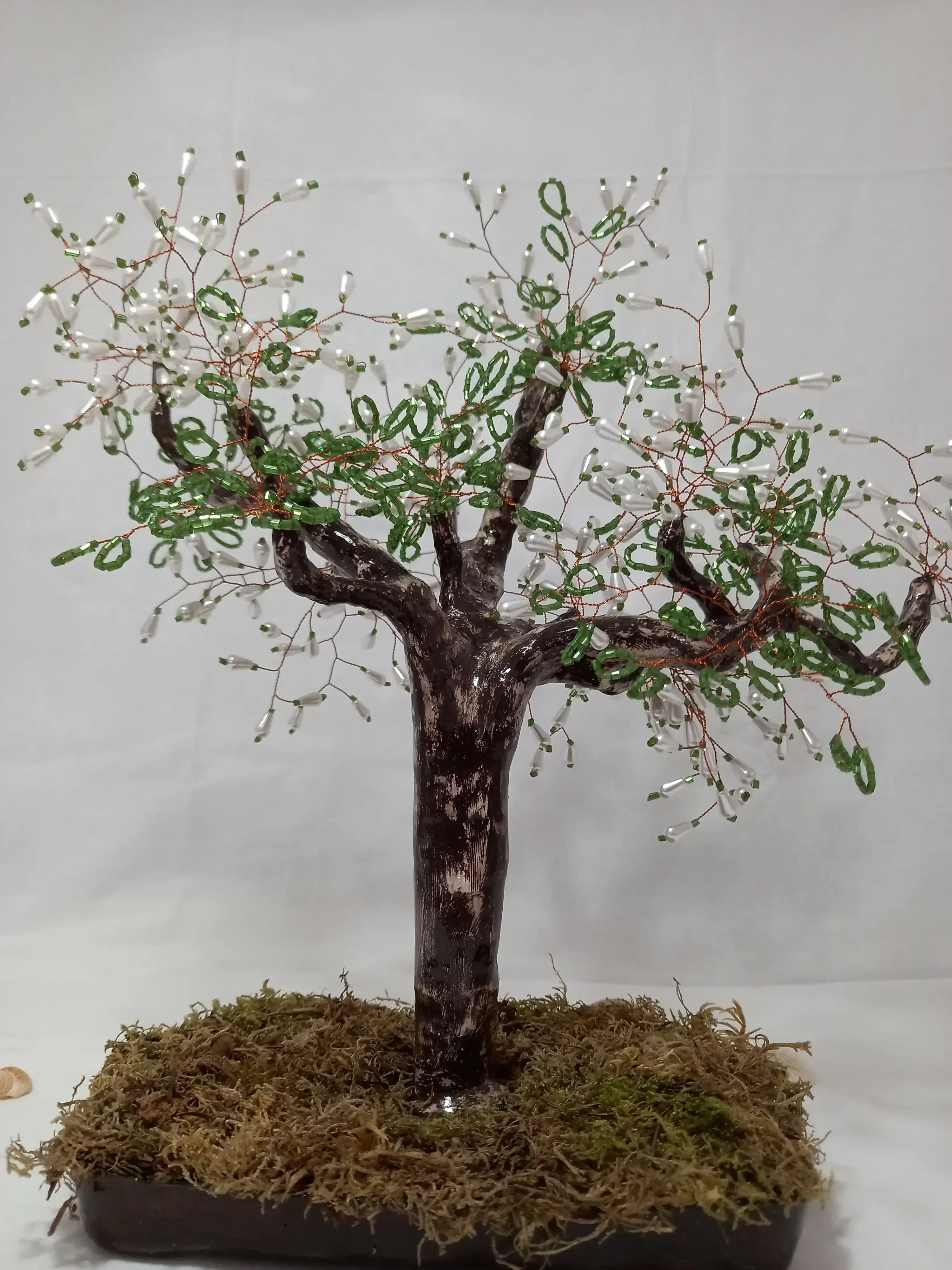 Bonsai La Esperanza  4