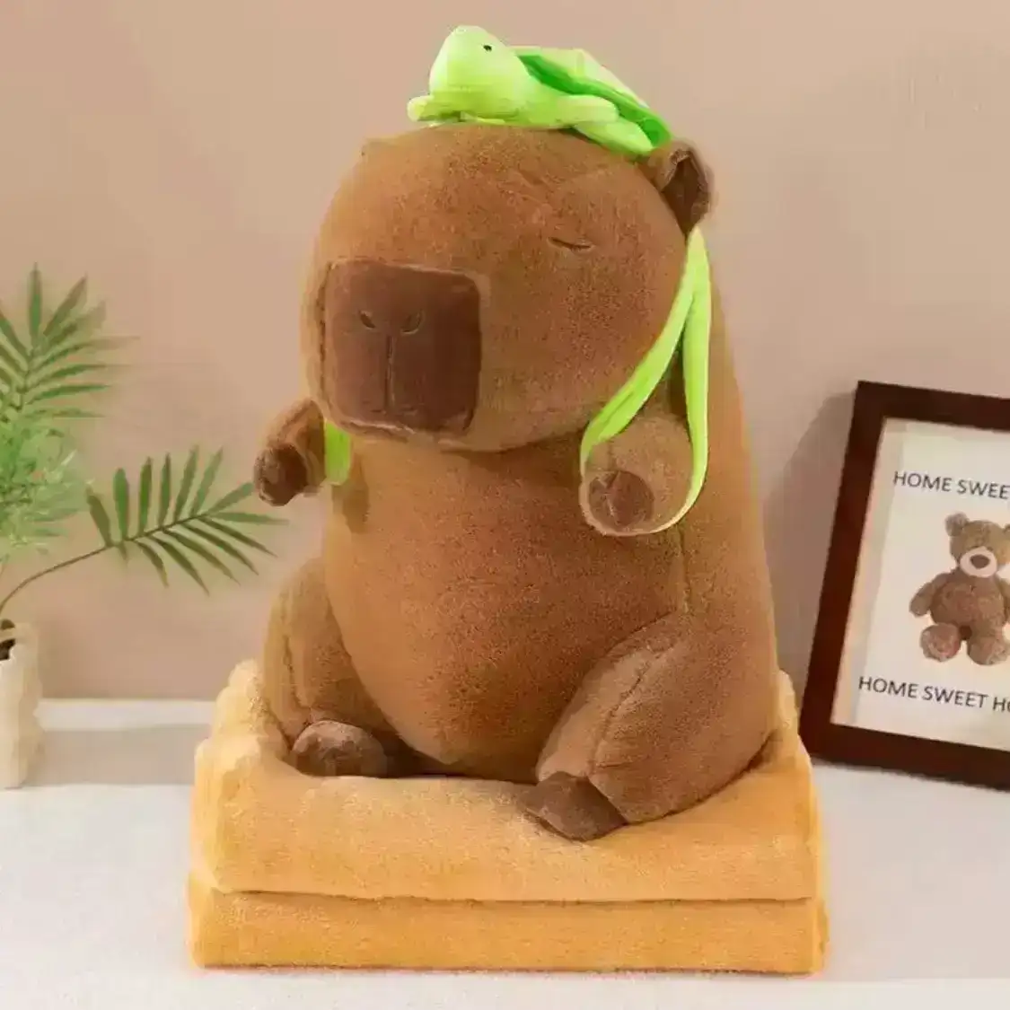 Capi tortuga xxl con cobija 