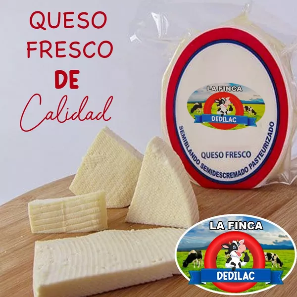 Queso RICOTTA 