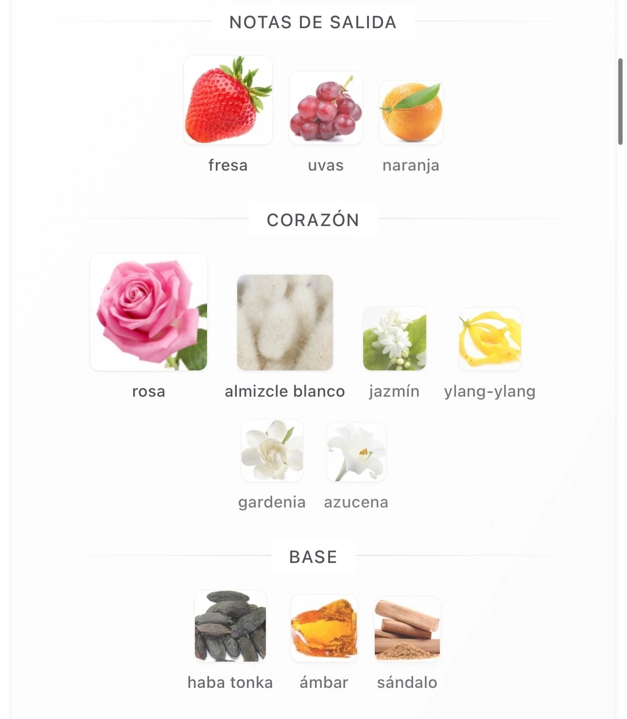 1.1 – Ameerat Al Arab Prive Rose - Asdaaf – Mujer 3