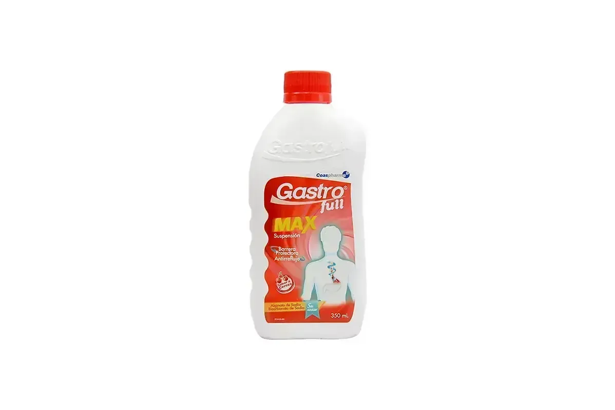 GASTROFULL MAX 360 L