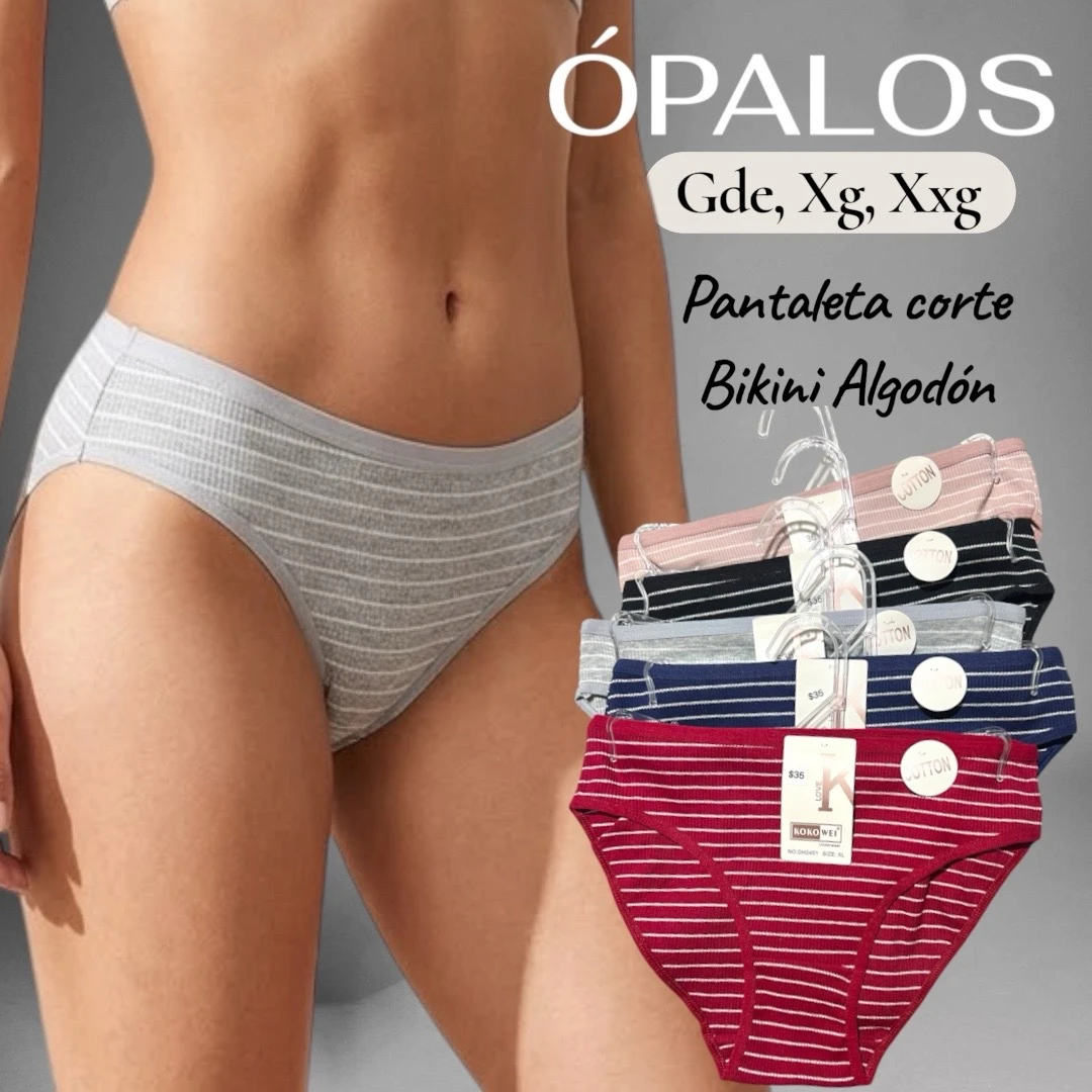 Pantaleta Corte Bikini
