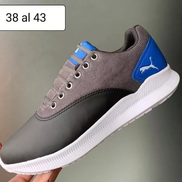 Puma
