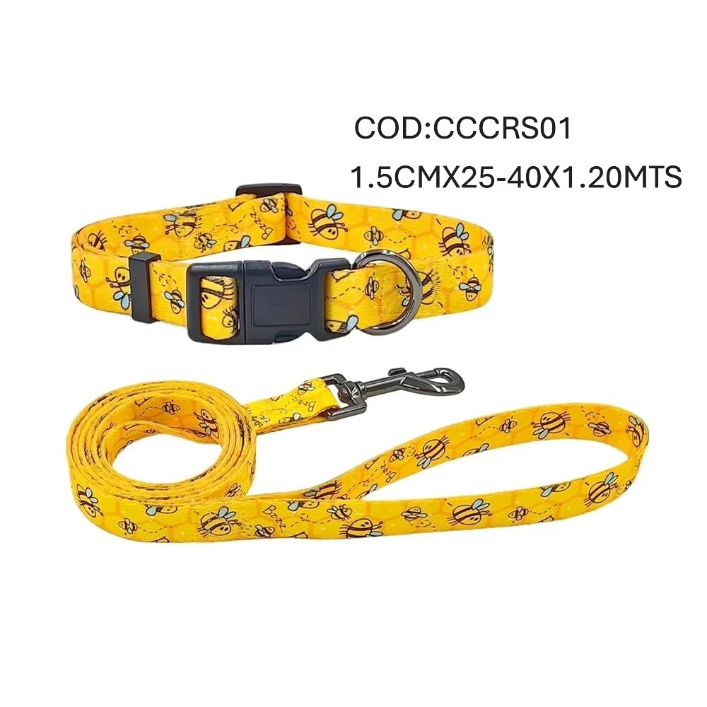 CONJUNTO T1 COLLAR REG.+CORREA