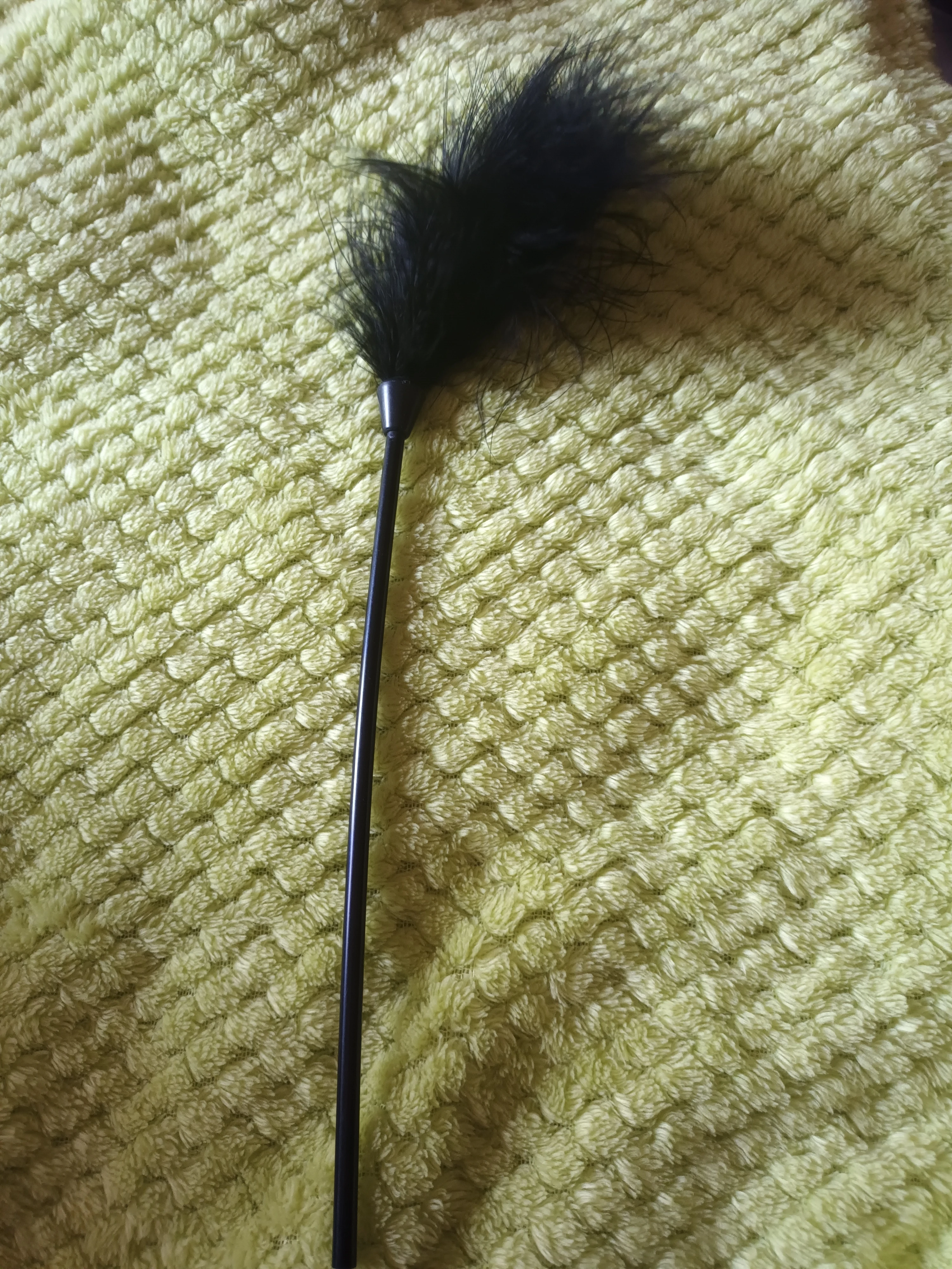 Latigo de plumas 