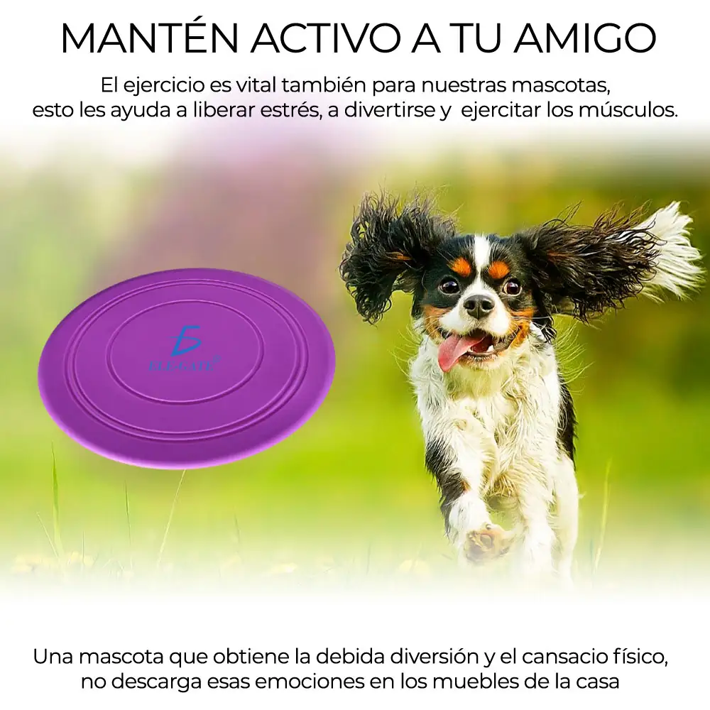 10 Discos Frisbee Para Mascotas 