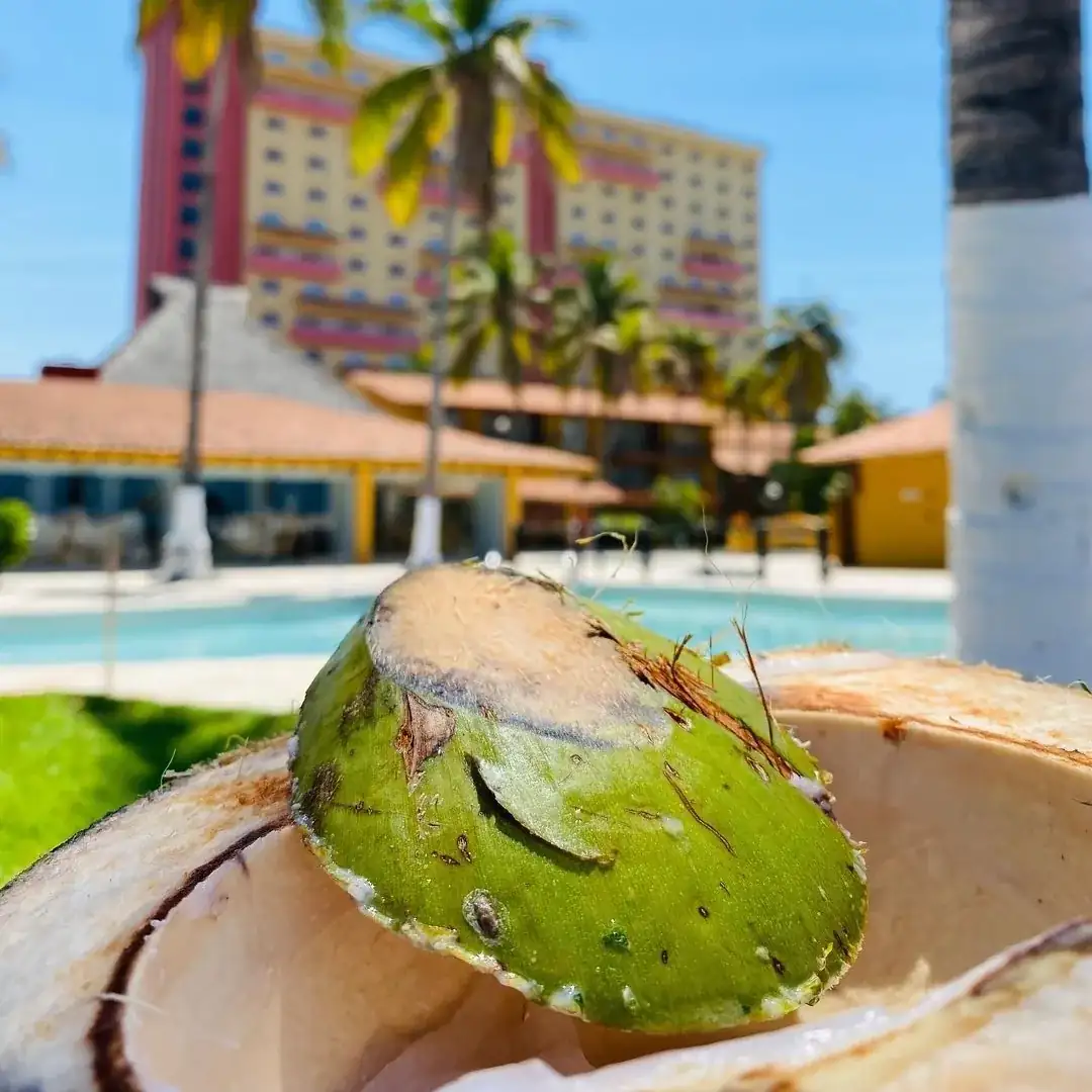 IXTAPA, HOLIDAY INN, TODO INCLUIDO  2