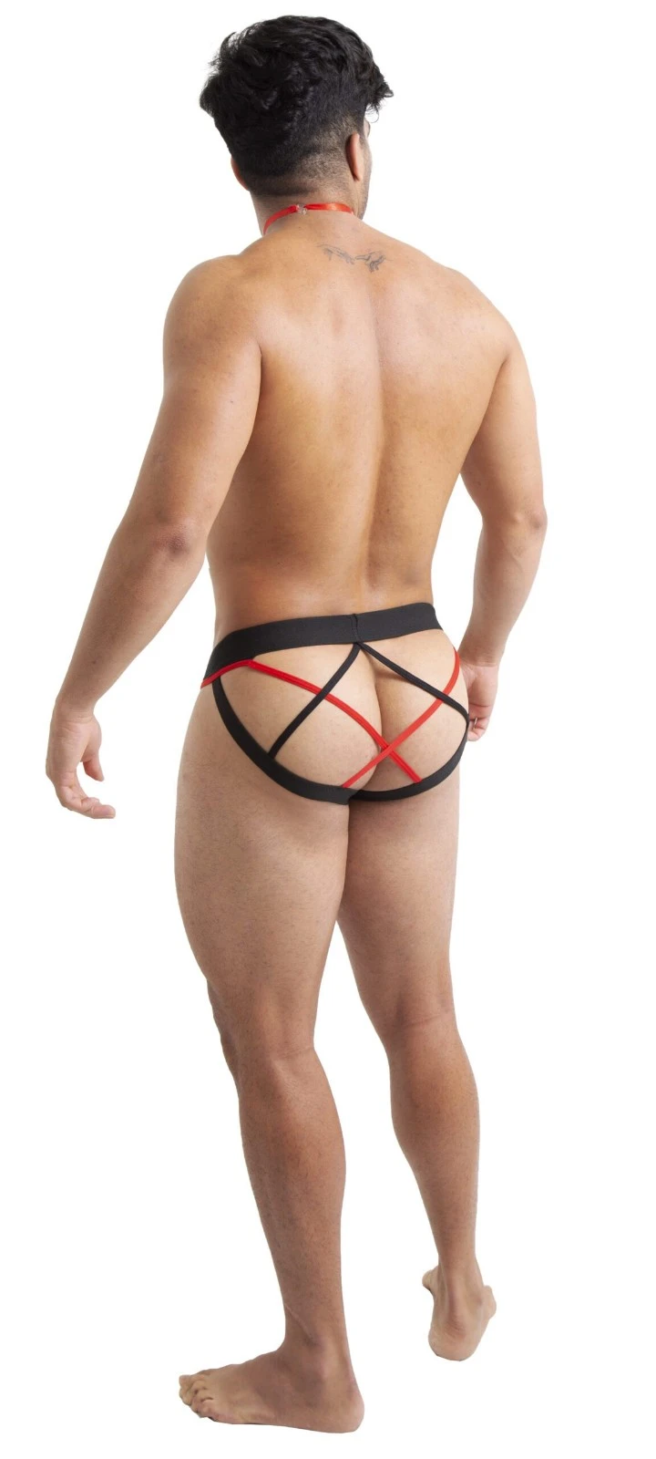Suspensorio TA78 2