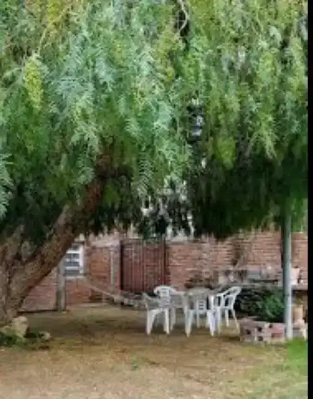 Aguaribay  3