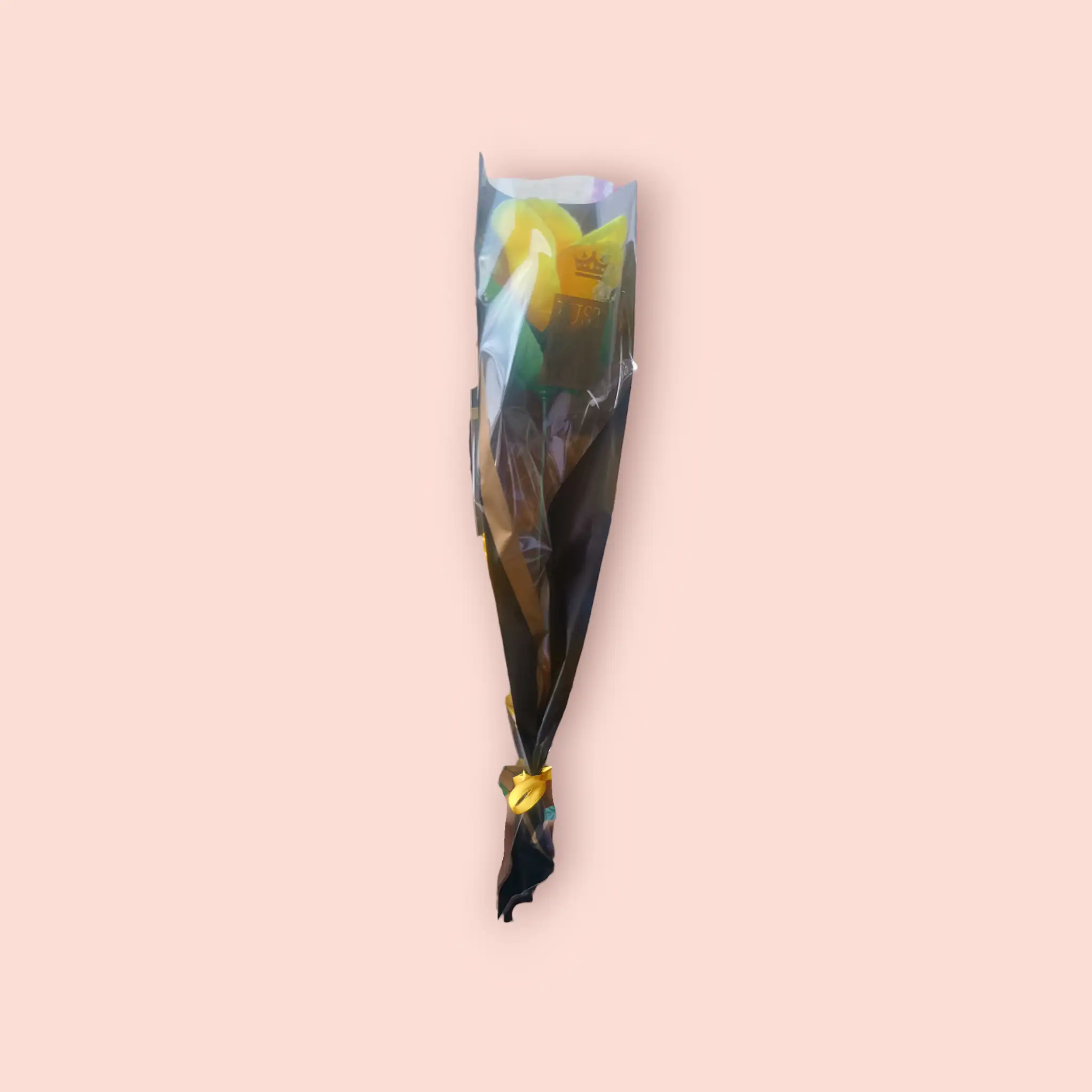 Flor económica  2