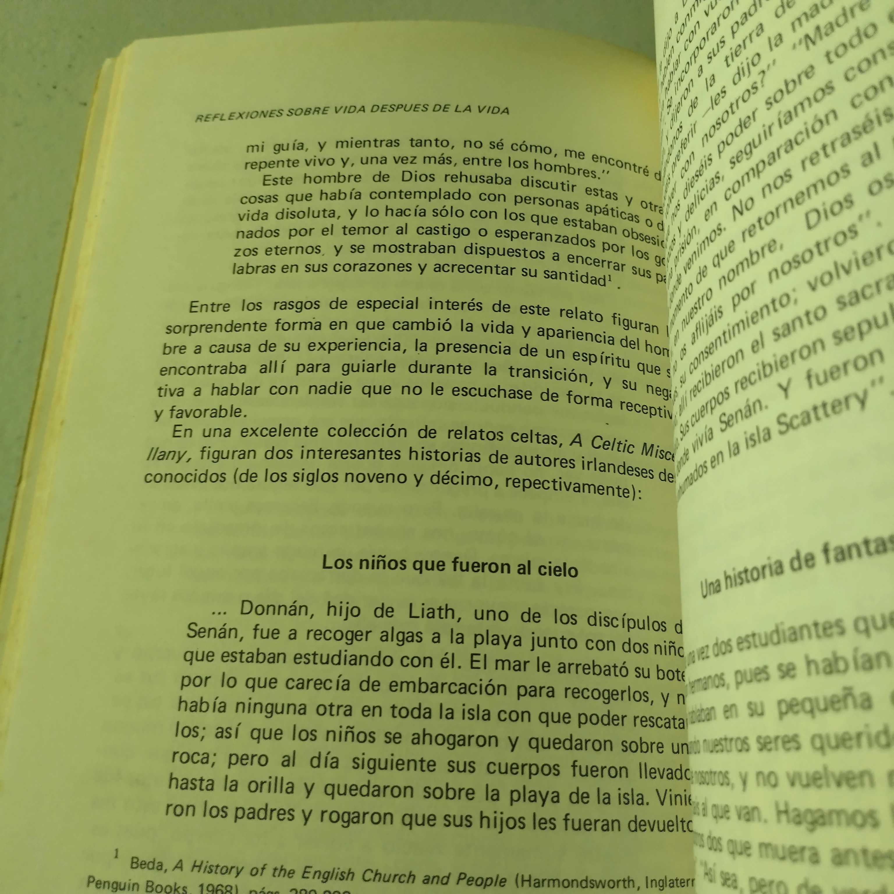 Reflexiones sobre la vida despues de la vida, Raymond Moodi jr, usado  3