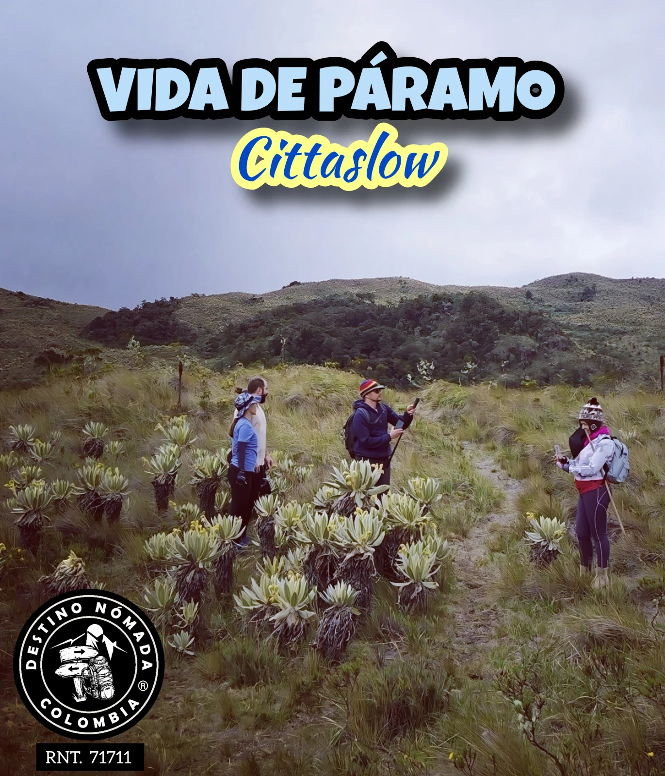 PARAMO DEL CHILÍ PIJAO QUINDÍO 3