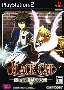 Black cat