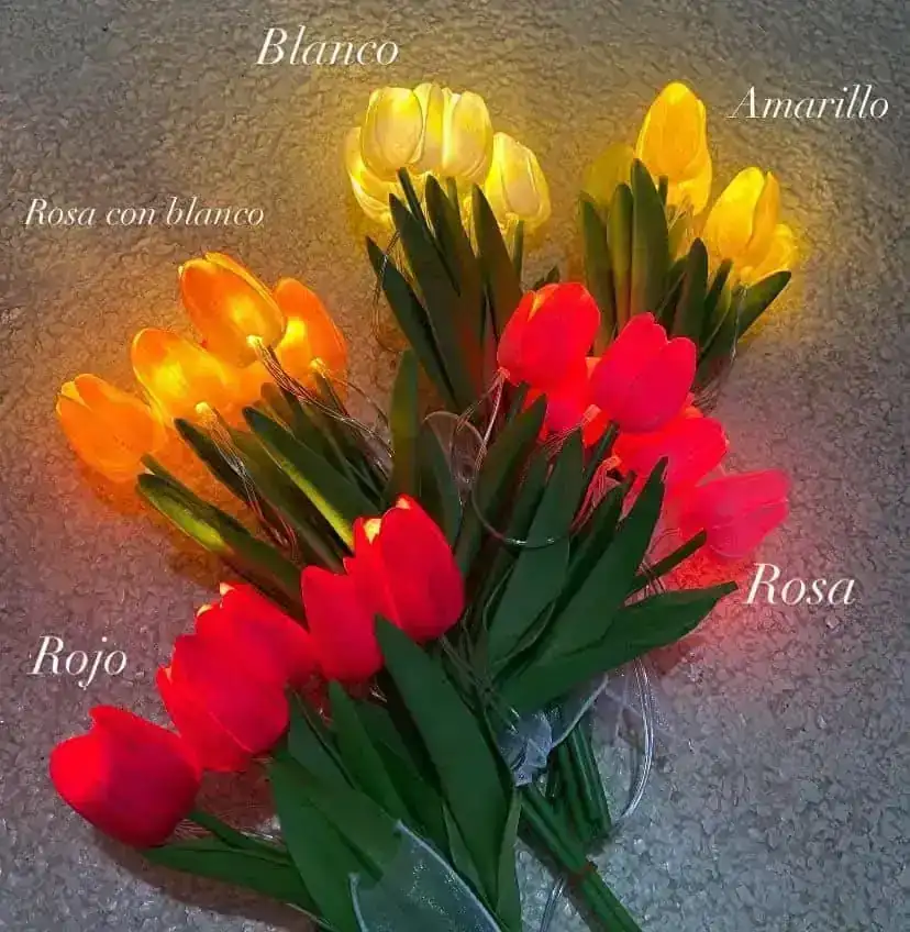 Ramo tulipanes