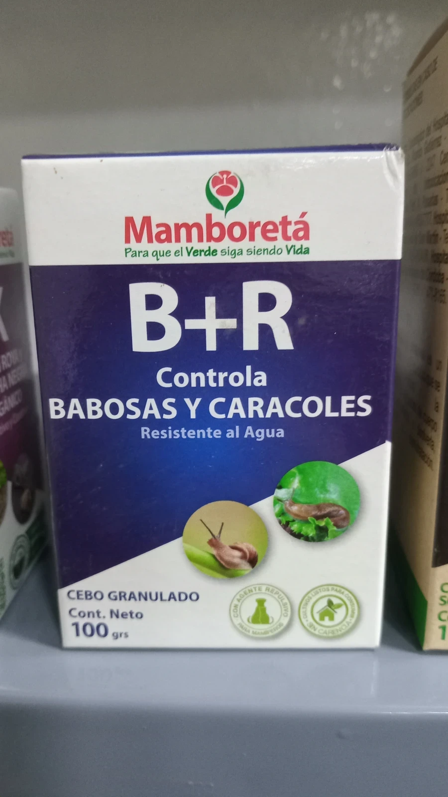 Mamboreta B + R