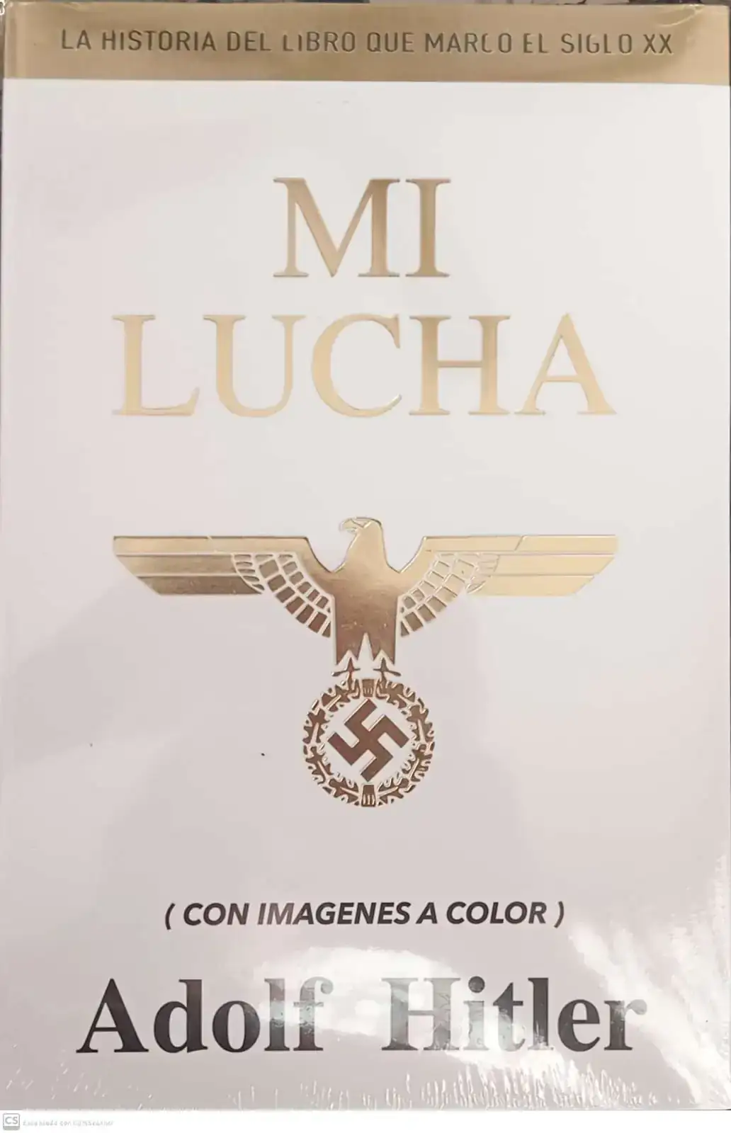 MI LUCHA 
