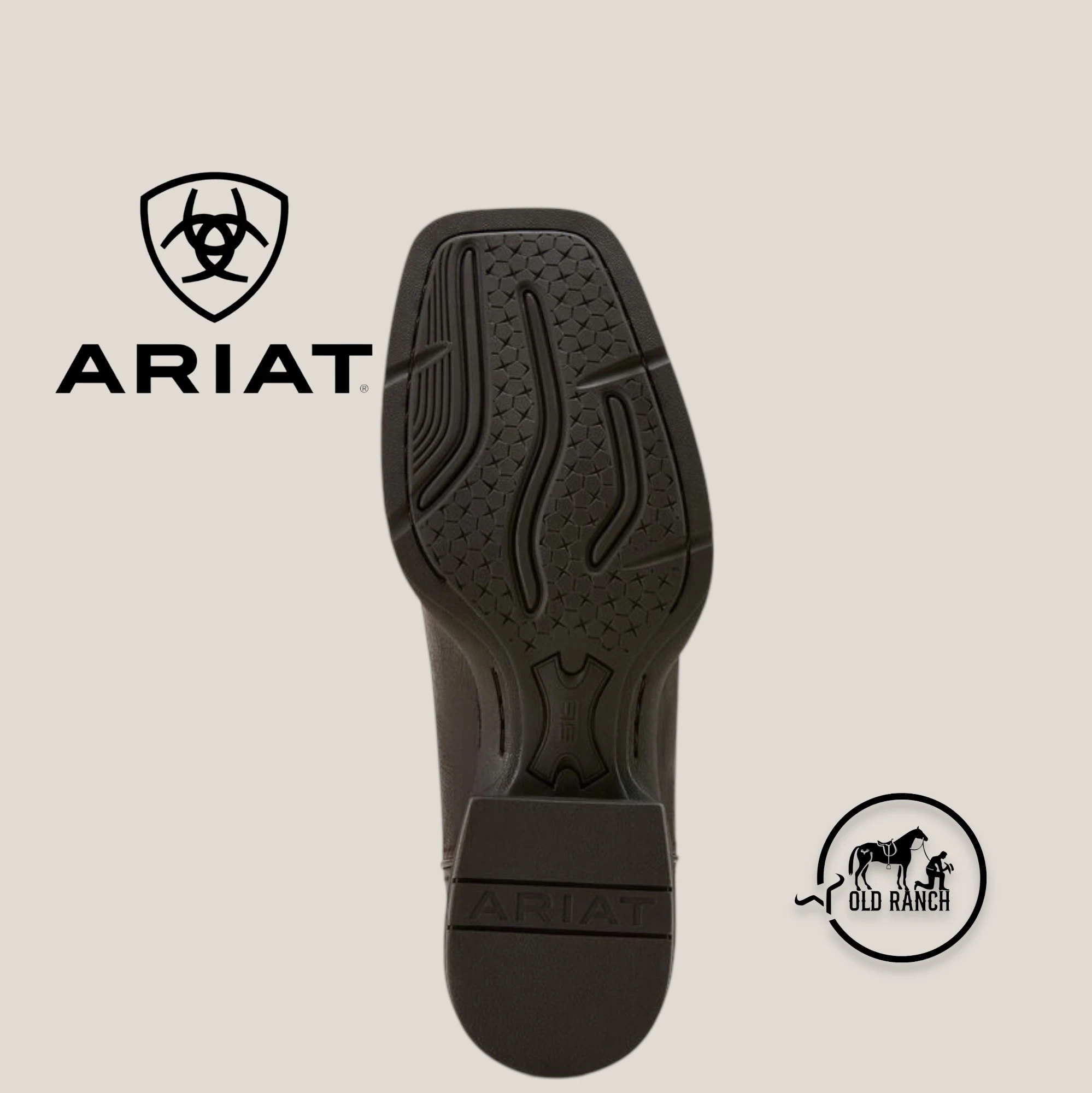 ARIAT 6