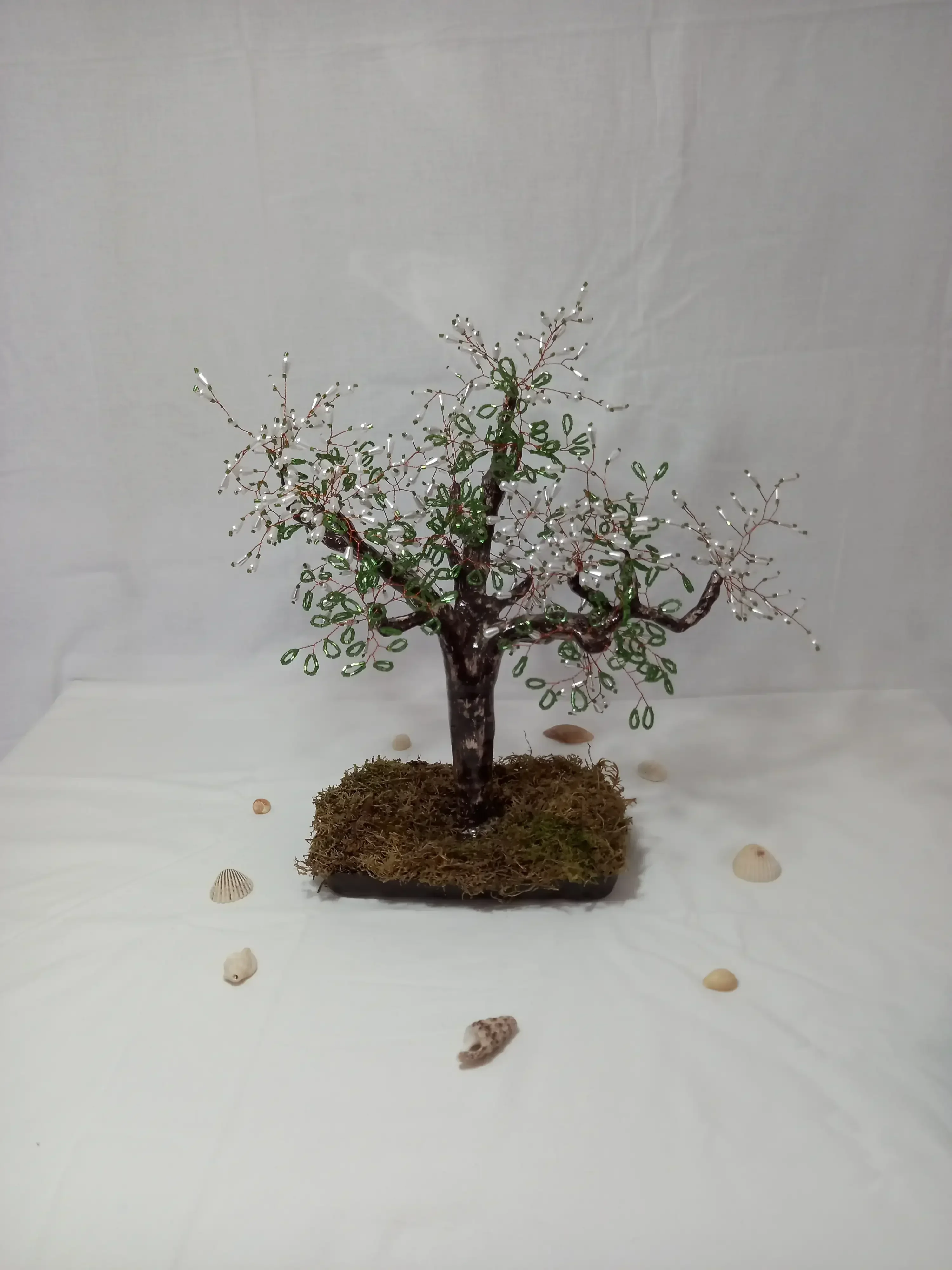 Bonsai La Esperanza 