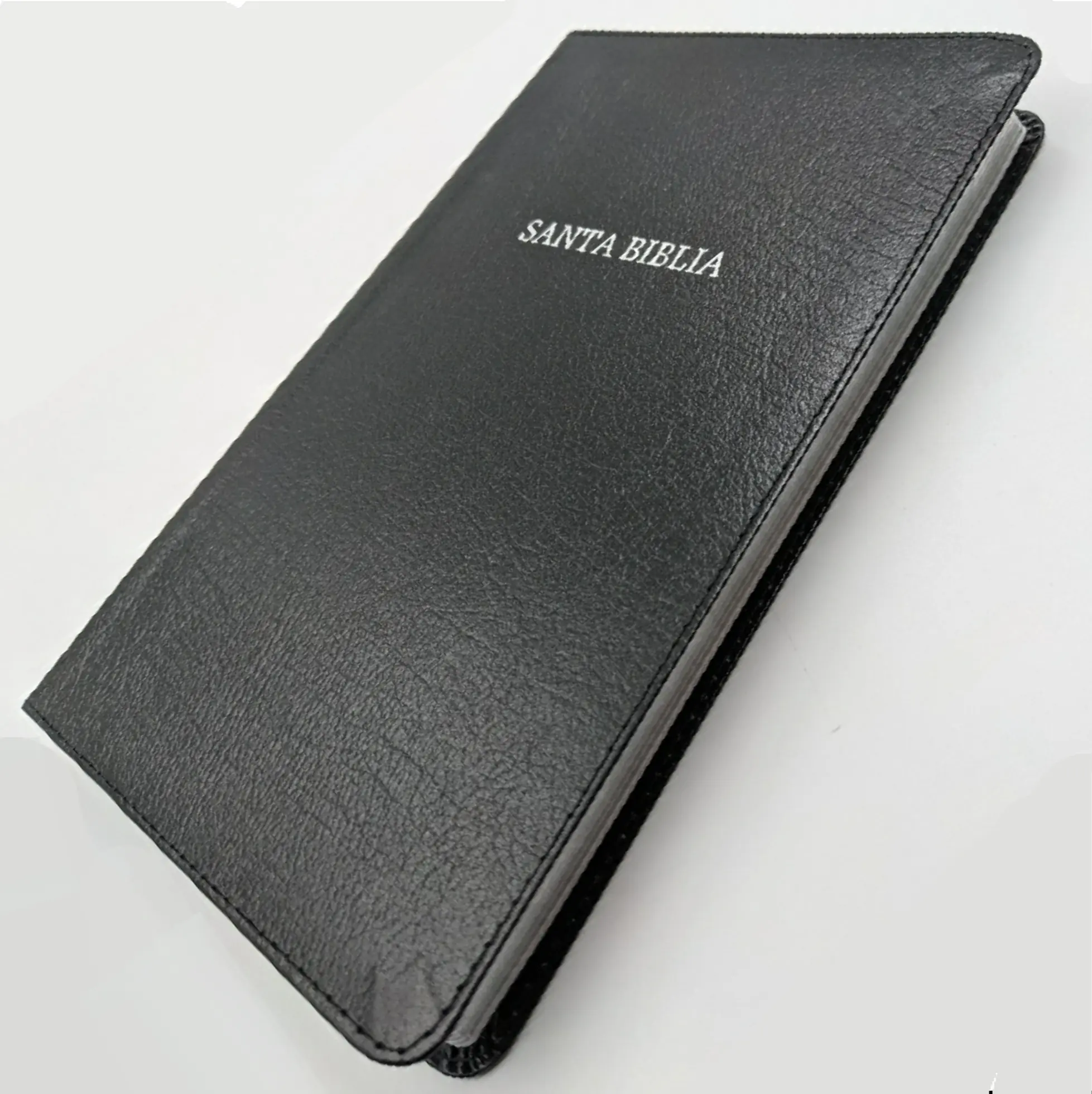 Biblia ultrafina RVR60 5