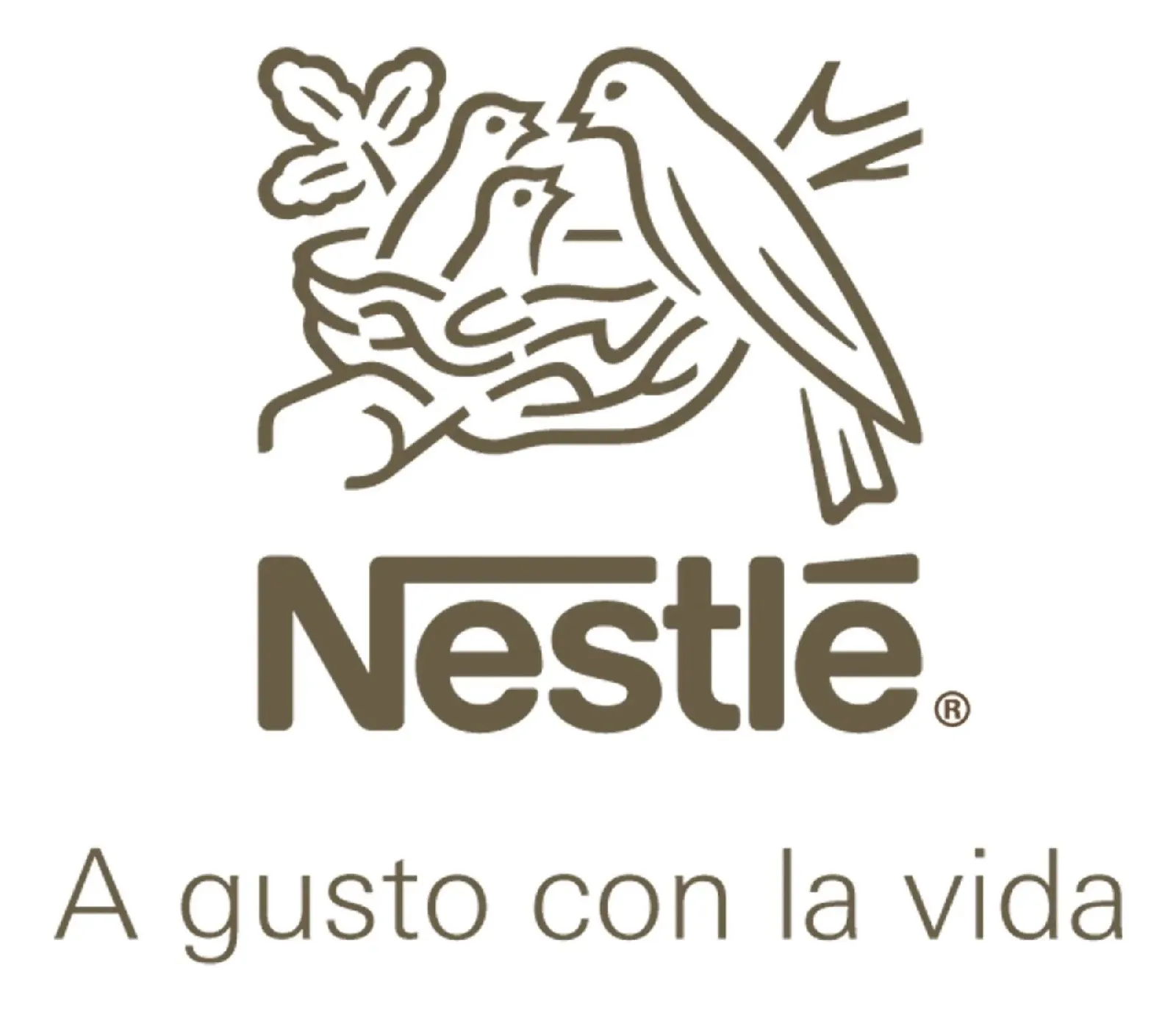 Cubito Maggi 16 UND 4