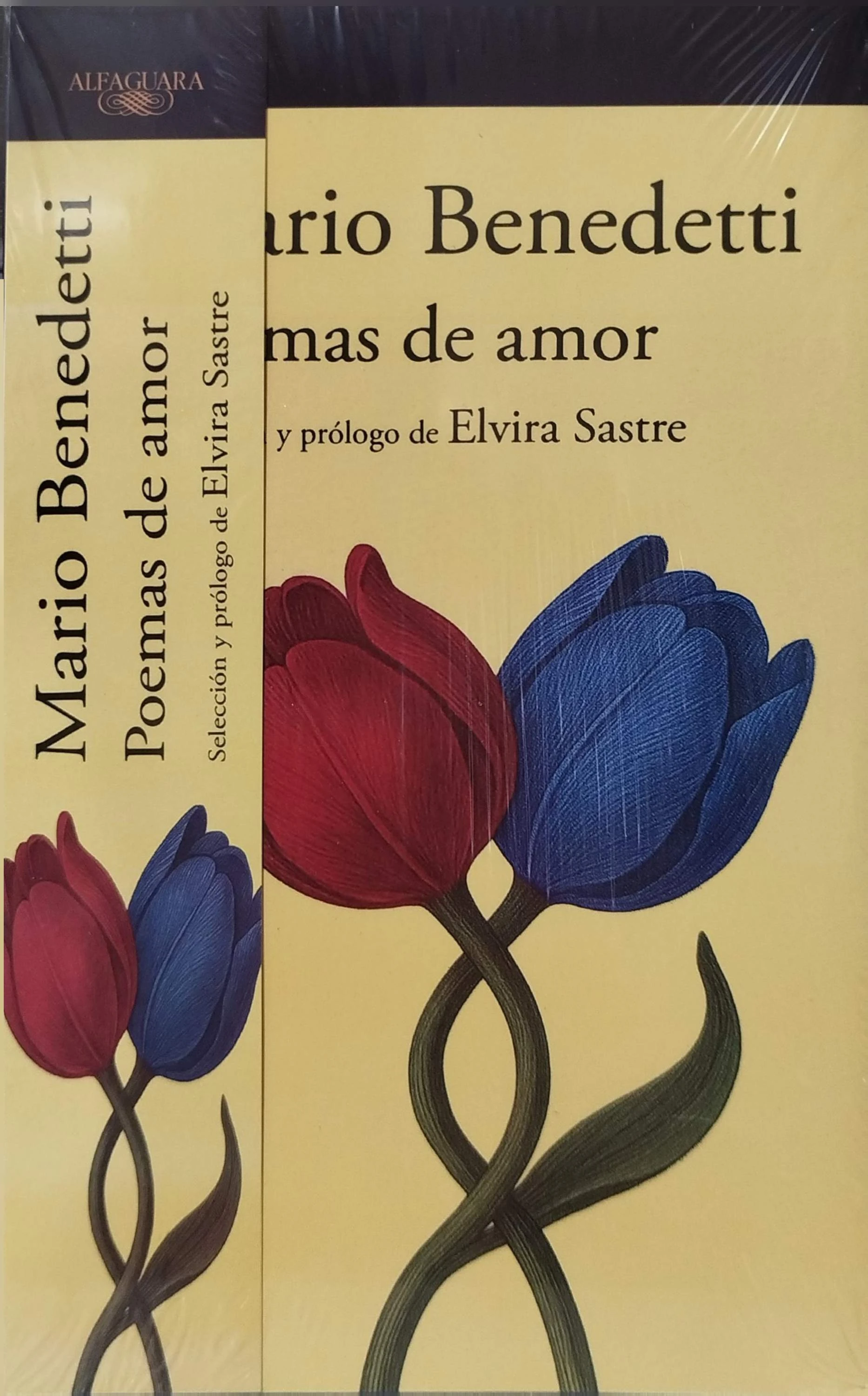 POEMAS DE AMOR 