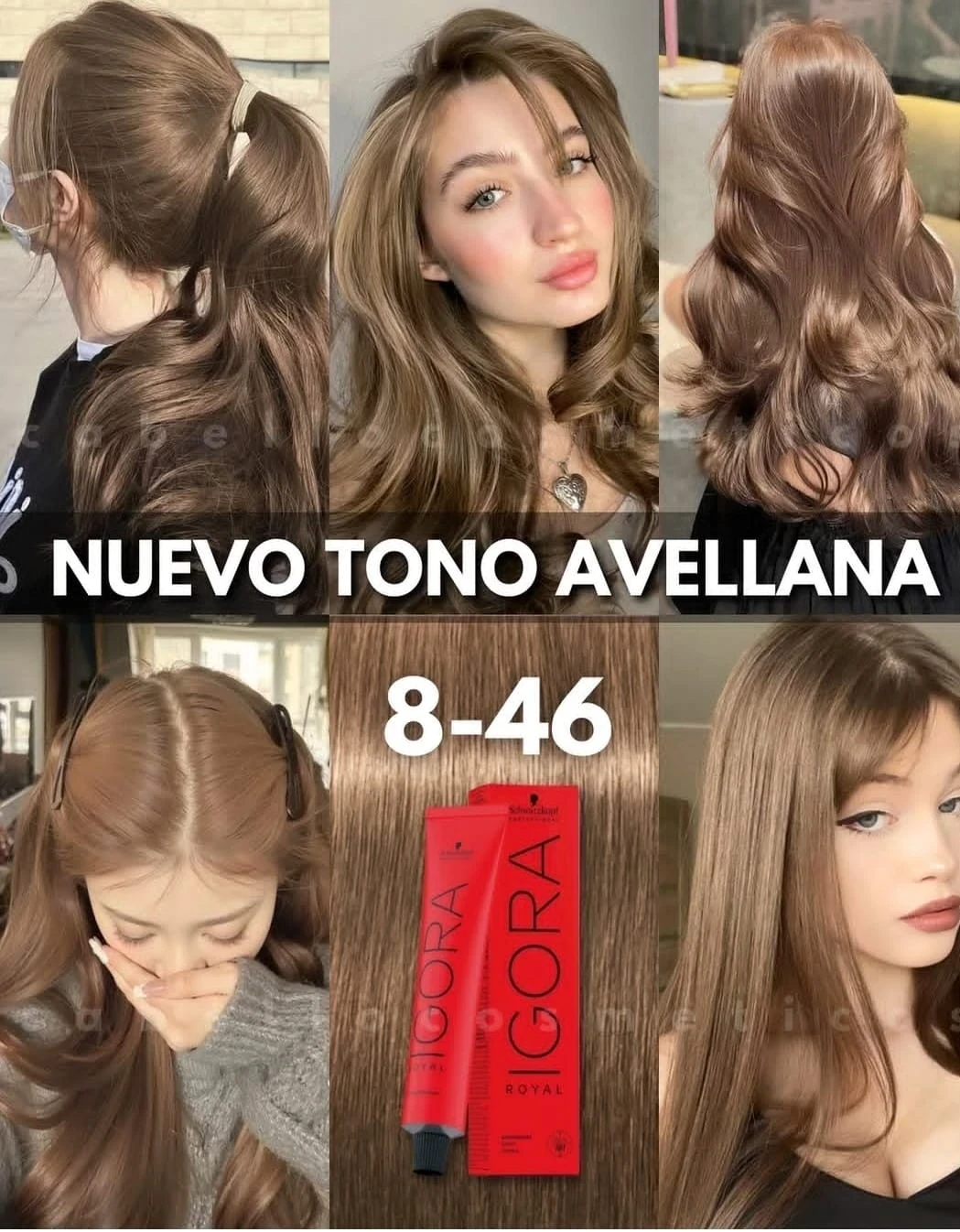 igora 8.46 rubio claro beige marron avellana tinte
