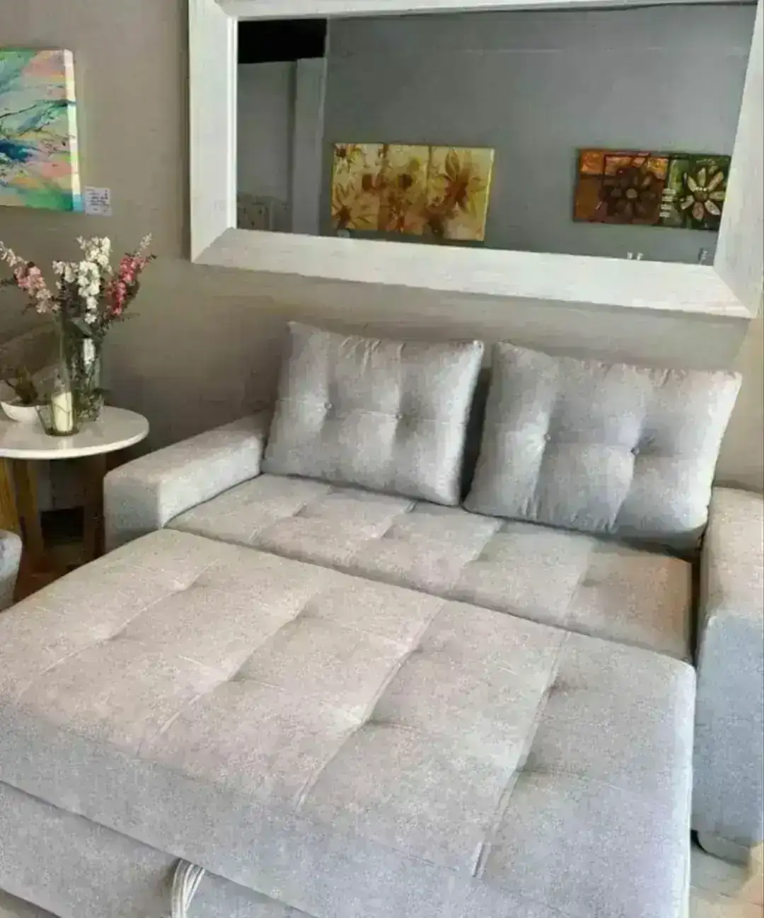 Sofacama Carro Exclusivo  3