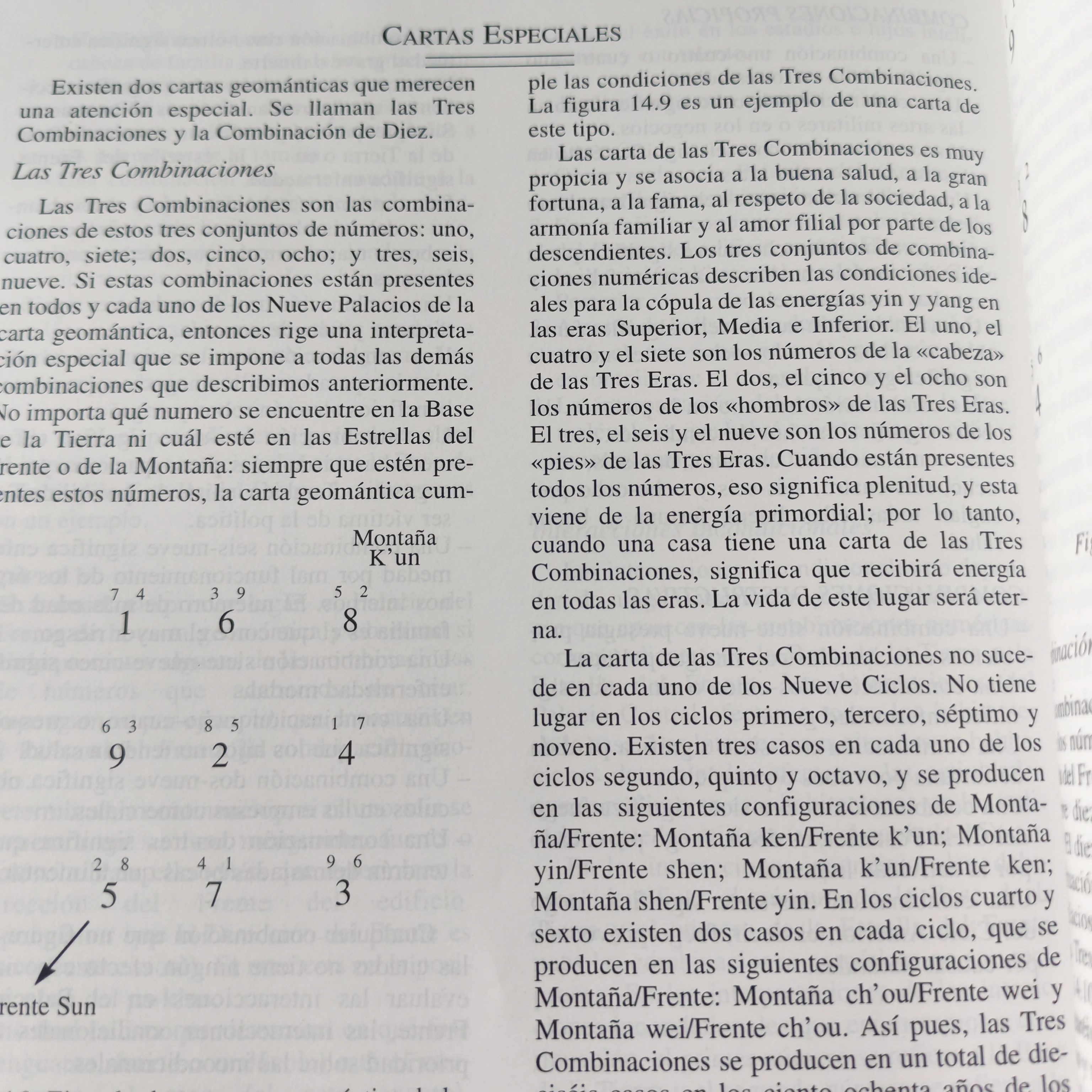 Libro completo de Feng Shui, Eva Wong, usado 3