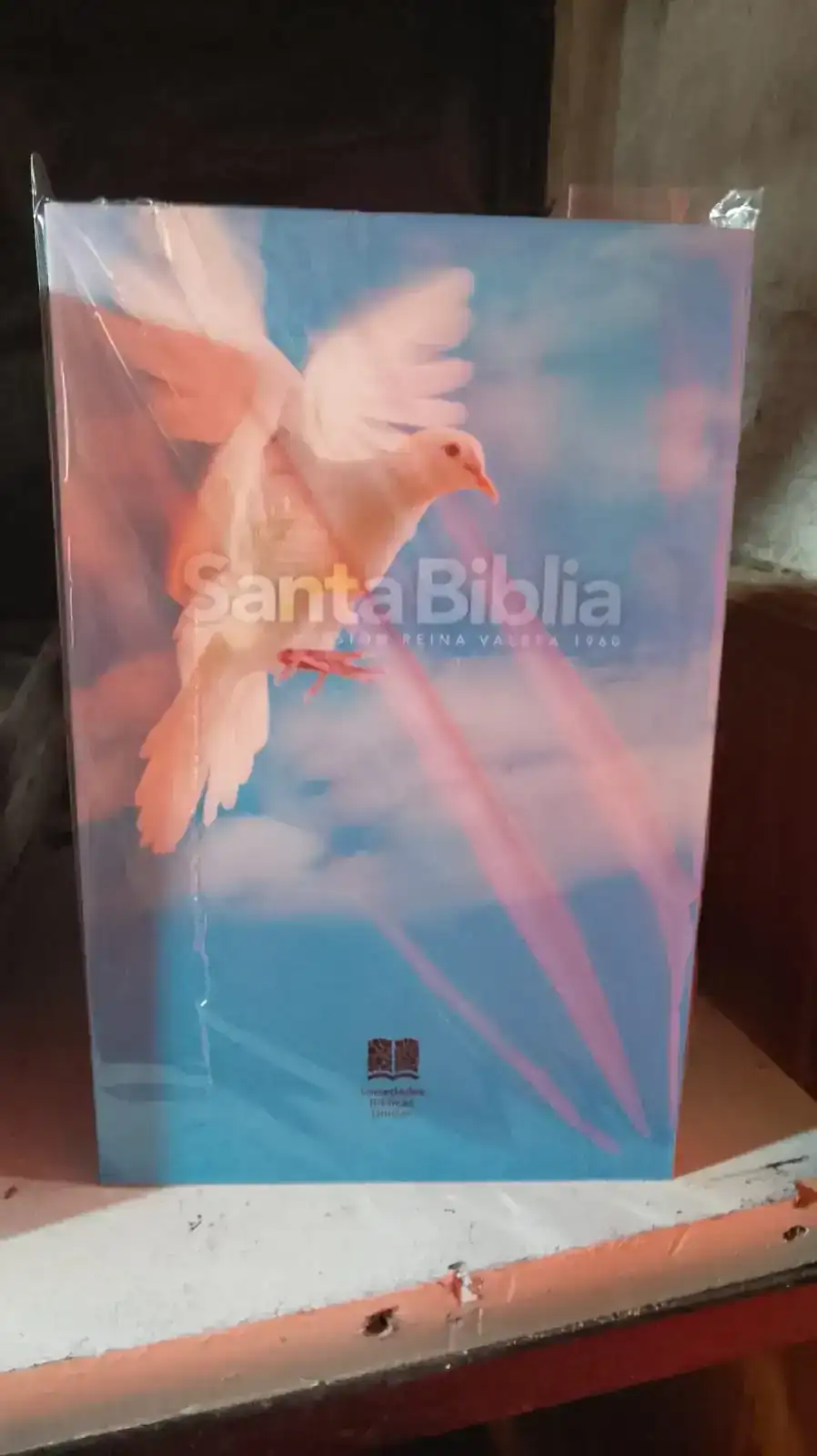 Biblia RV1960 tapa blands