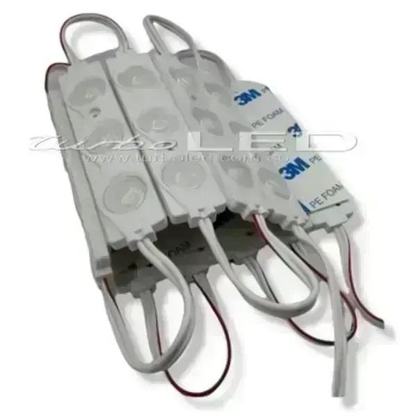 MODULO ECO LUPA 12V (103003) 2
