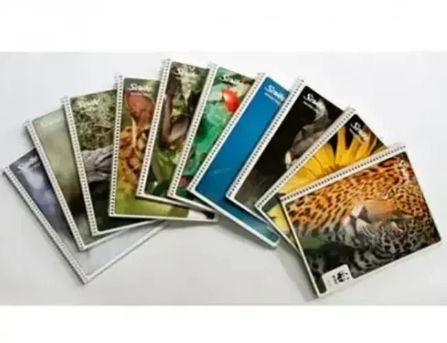 Cuaderno francesa c7 mega 100 hojas espiral 