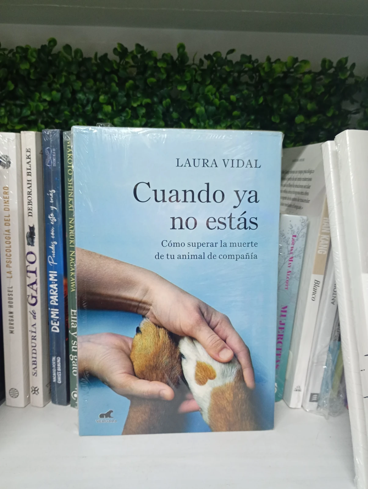 Cuando ya no estás 