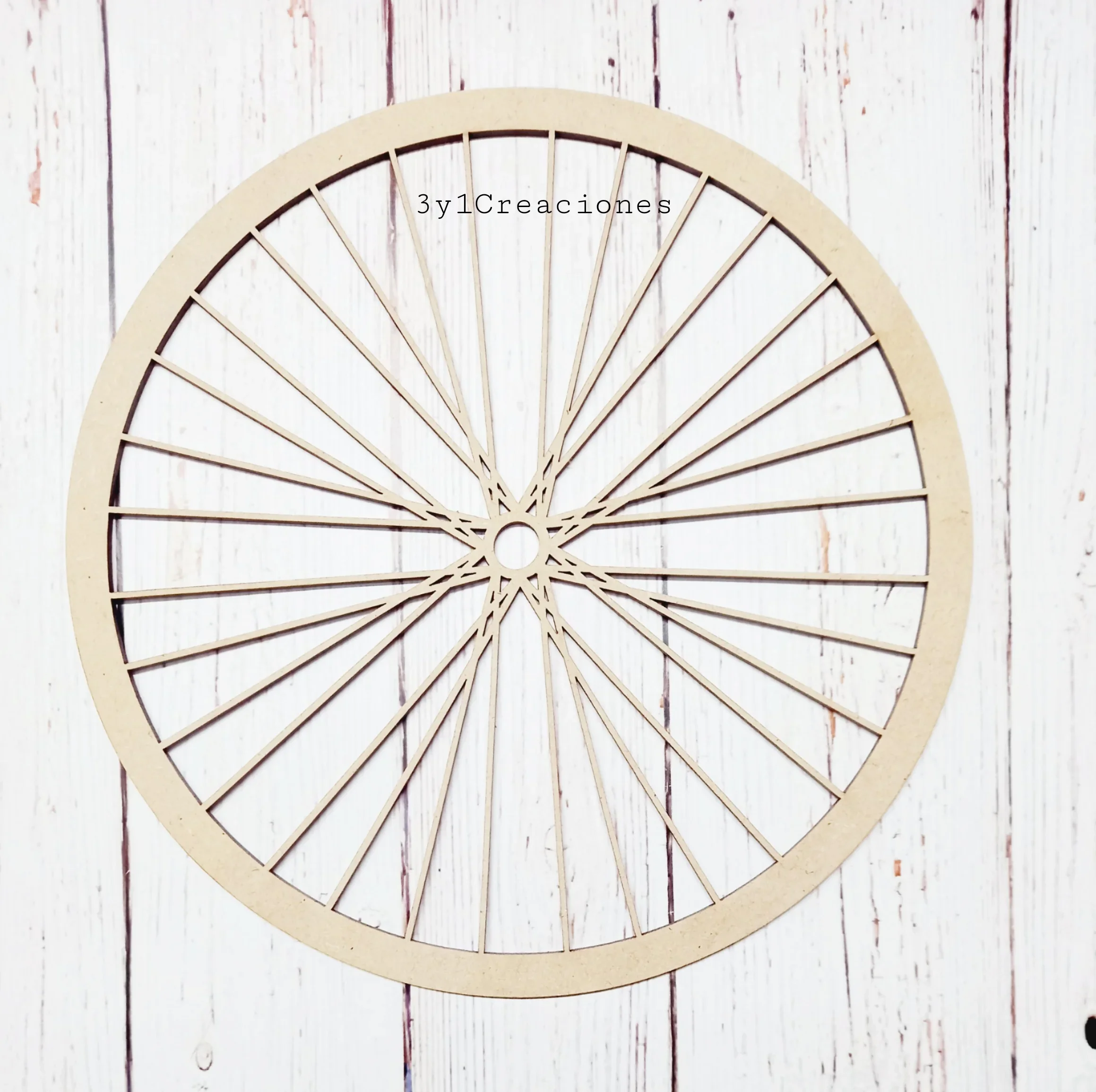 FIGURA RUEDA DE BICICLETA