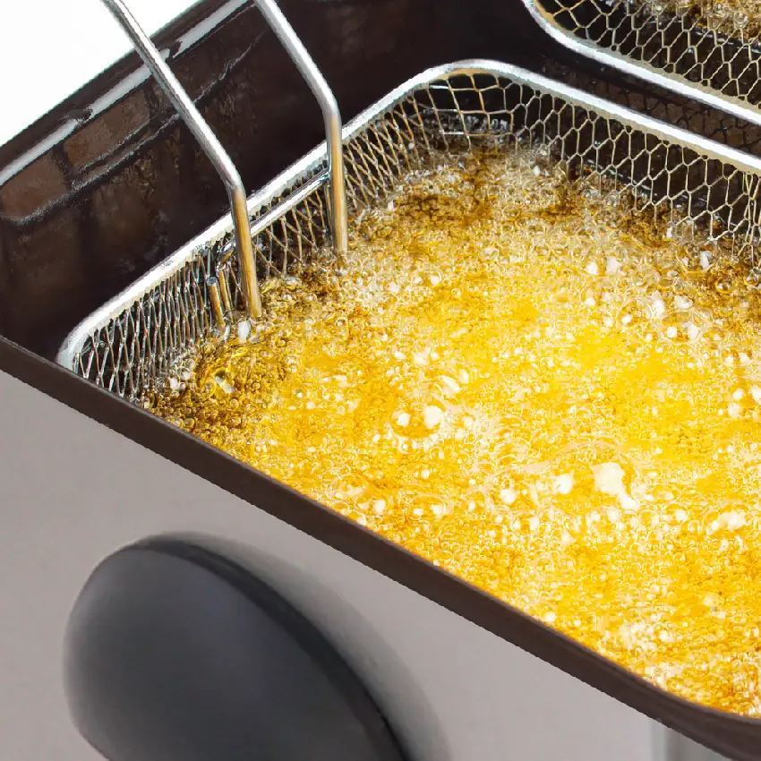 Freidora de aceite FLASH - FRYXL 4