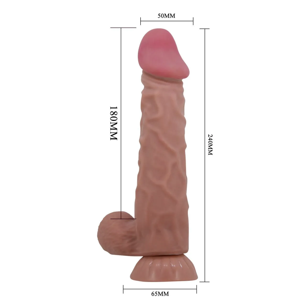 MENDEL 24 CM  2