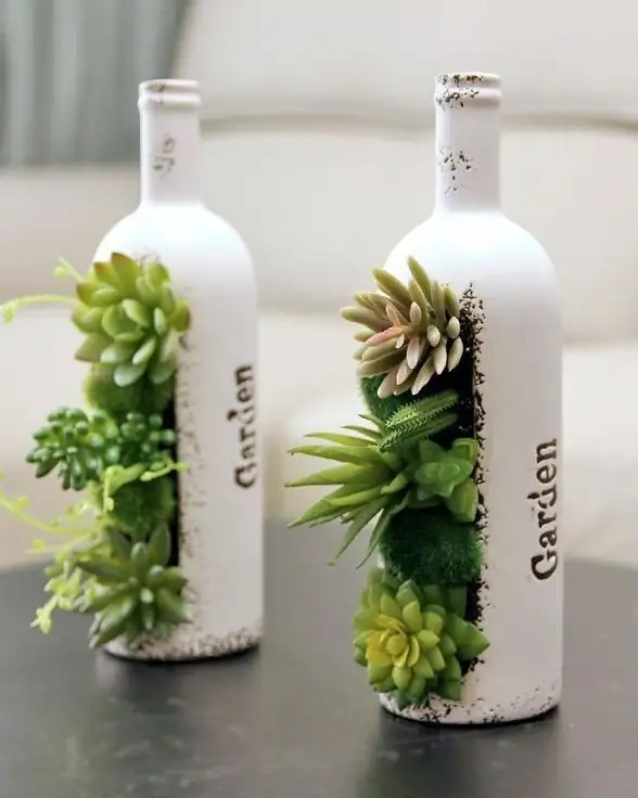 Suculenta Maseta botella 2