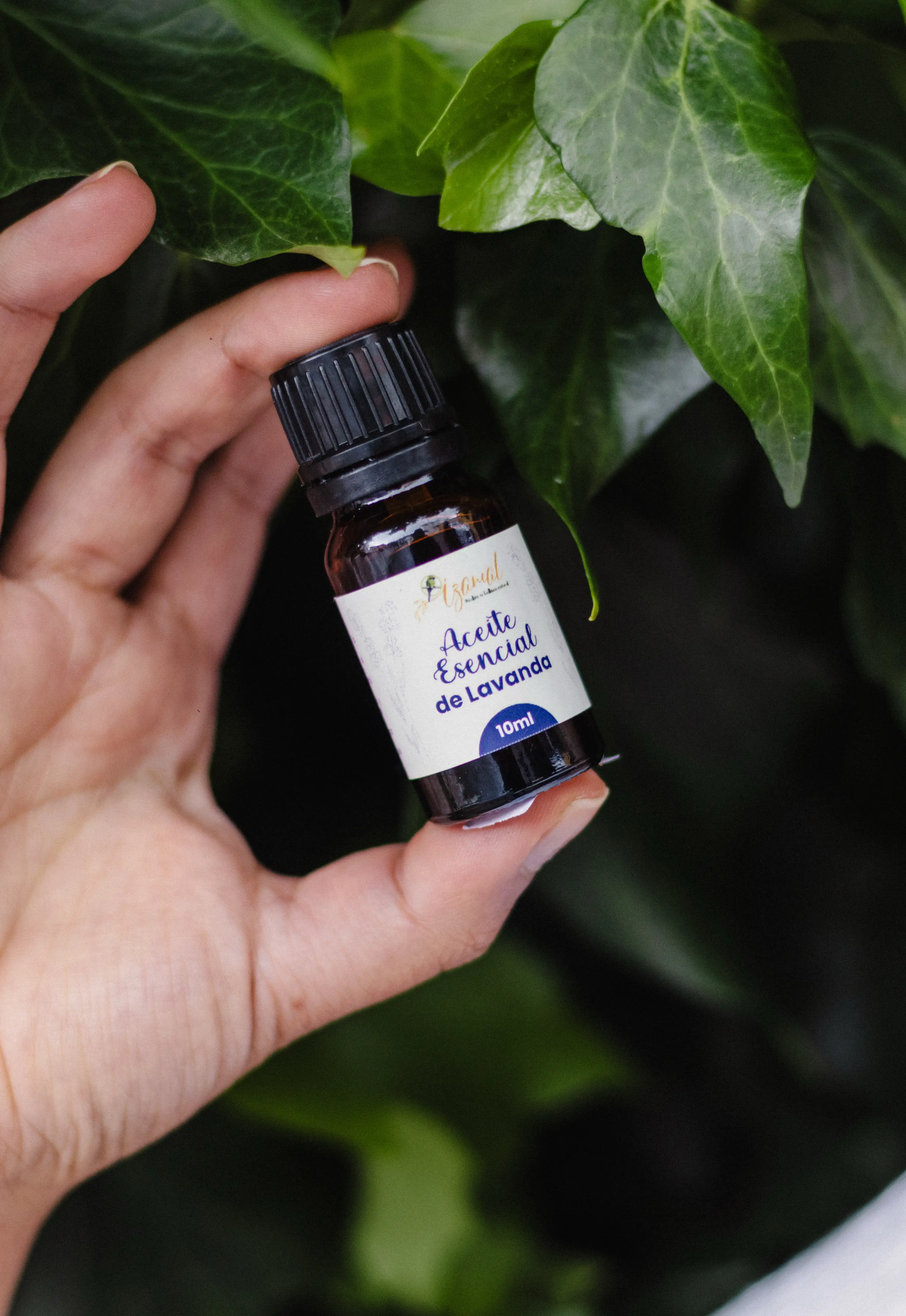 Aceite Esencial de Lavanda
