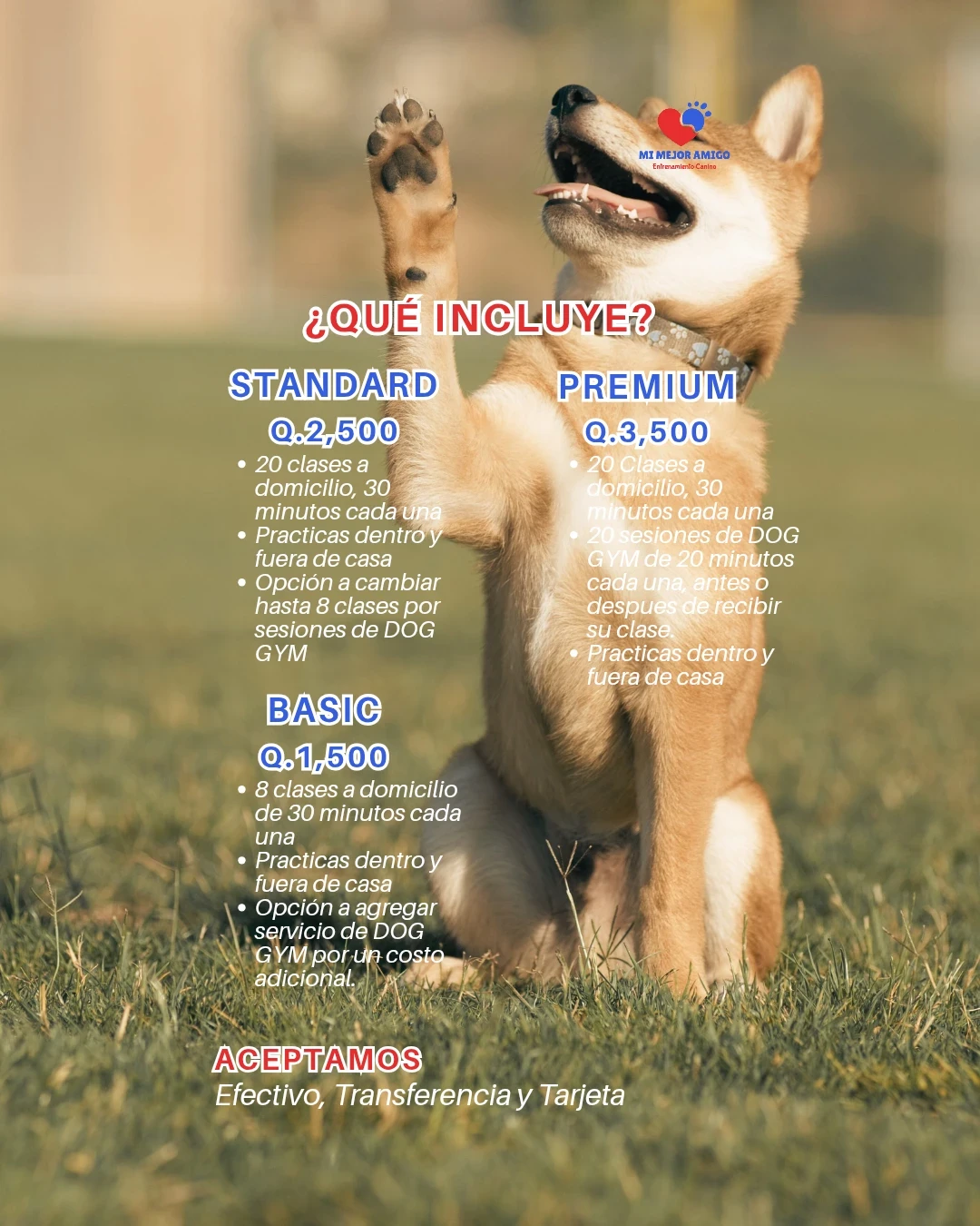 CURSO ADULTOS 6