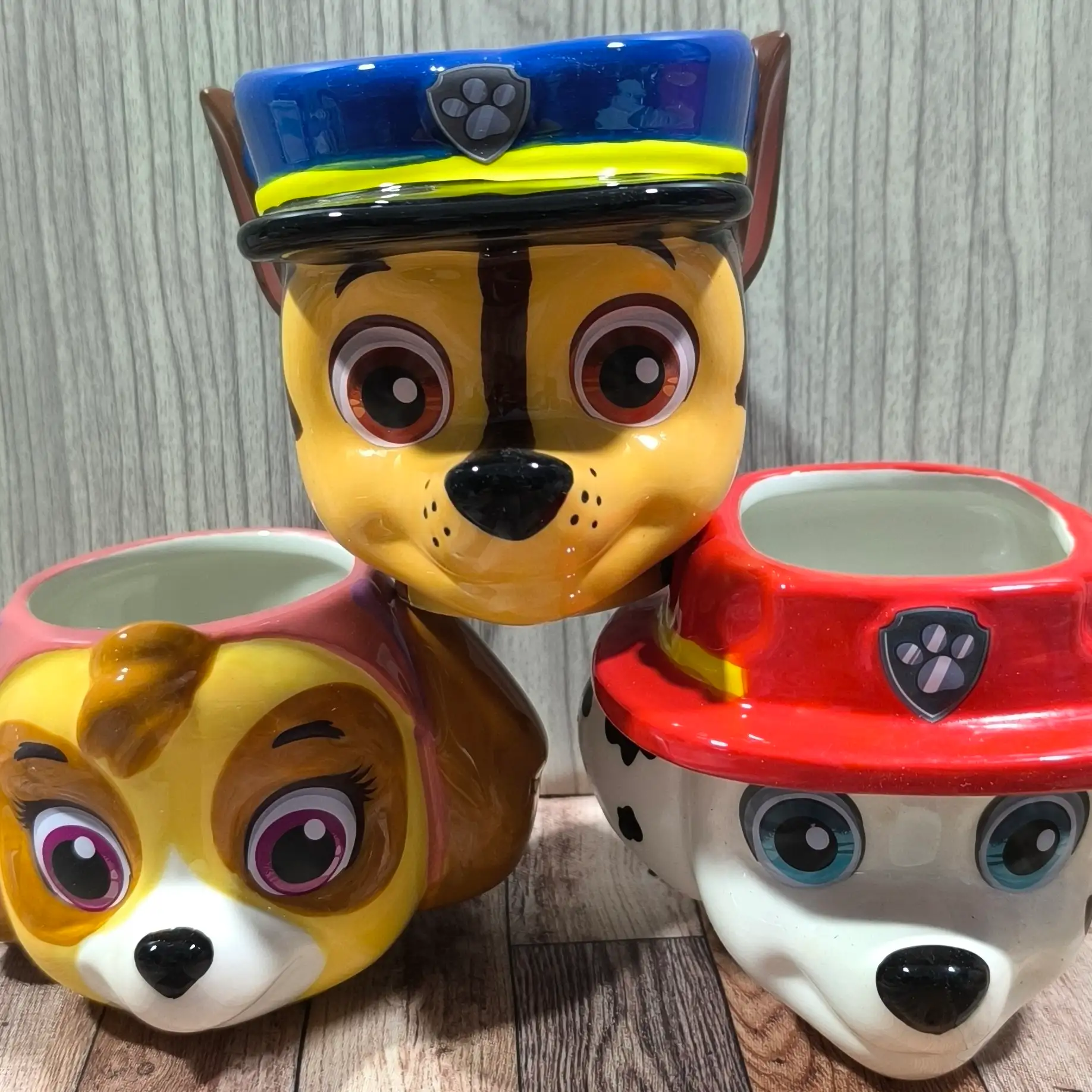 Taza 3d patrulla canina 