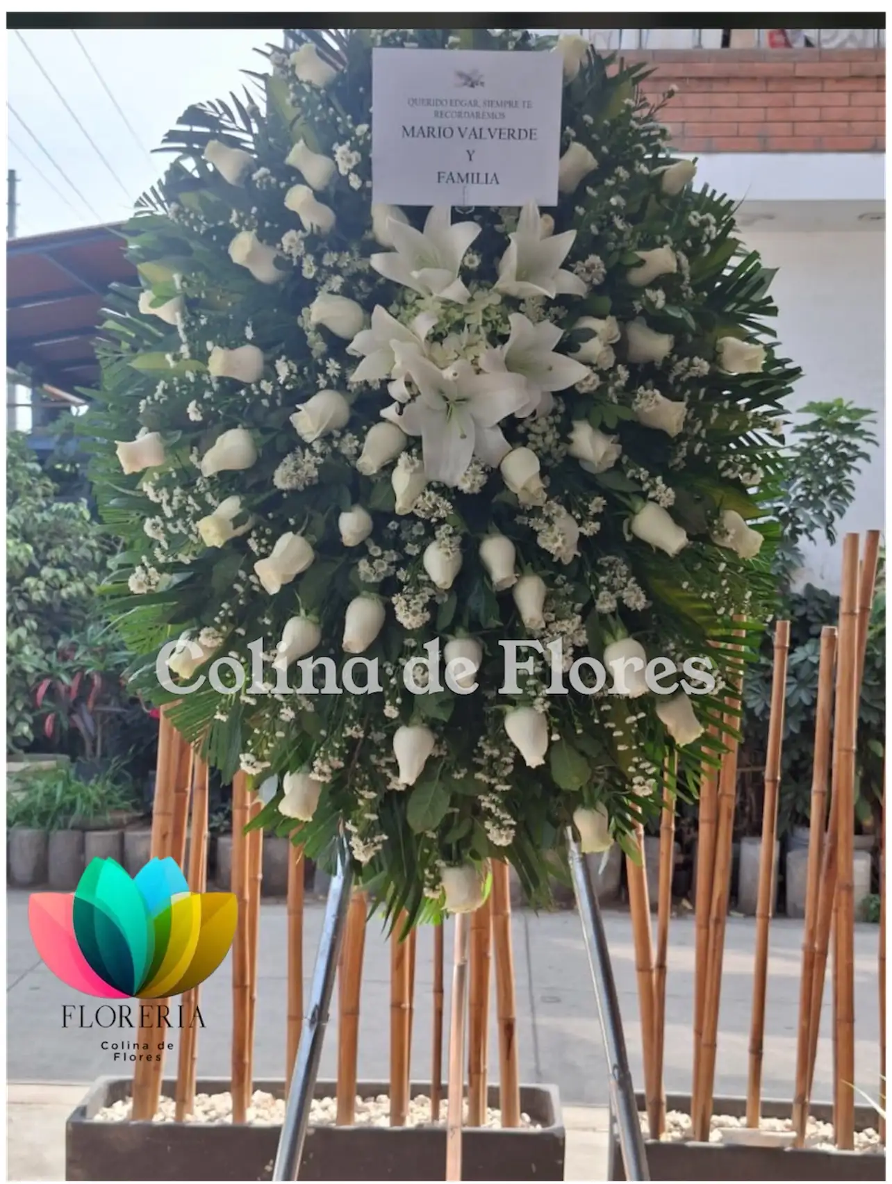 Tripo blanco