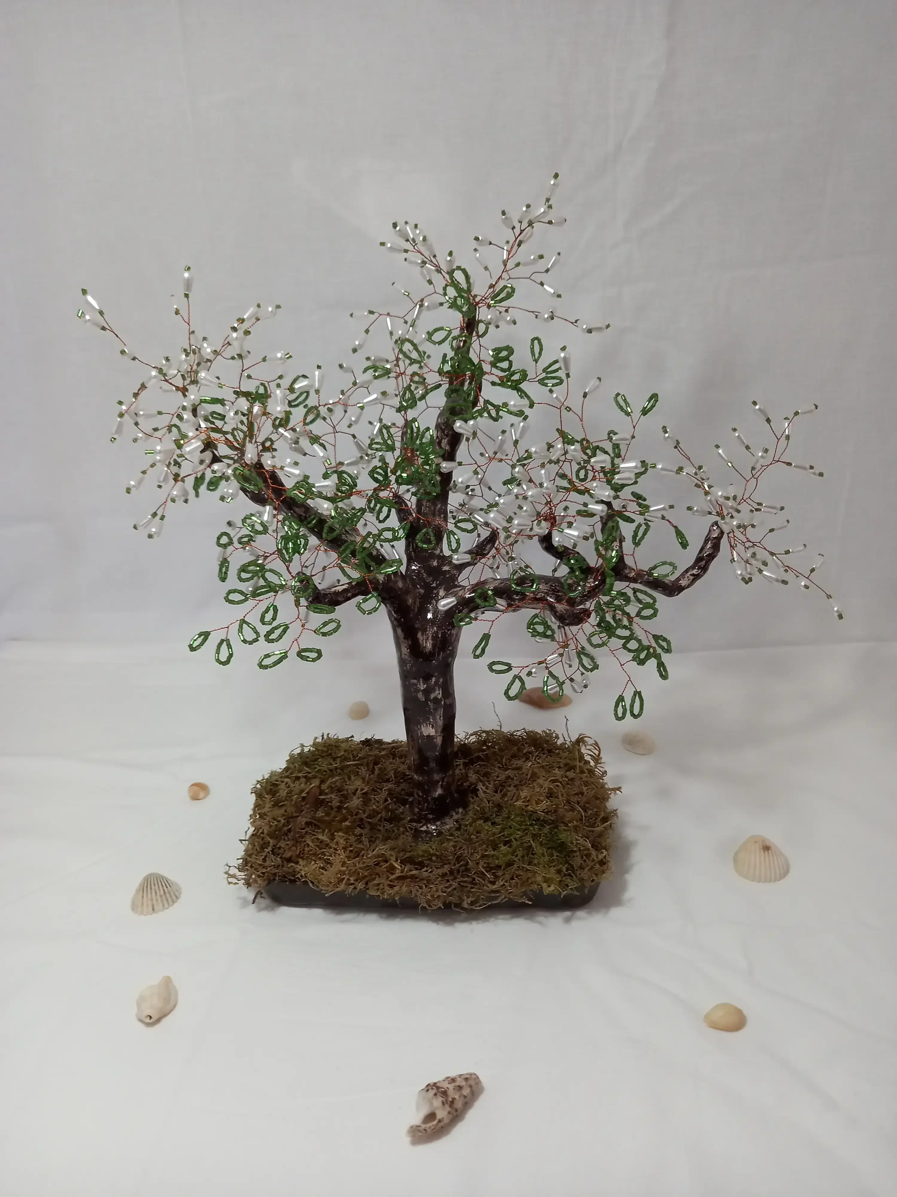 Bonsai La Esperanza  3