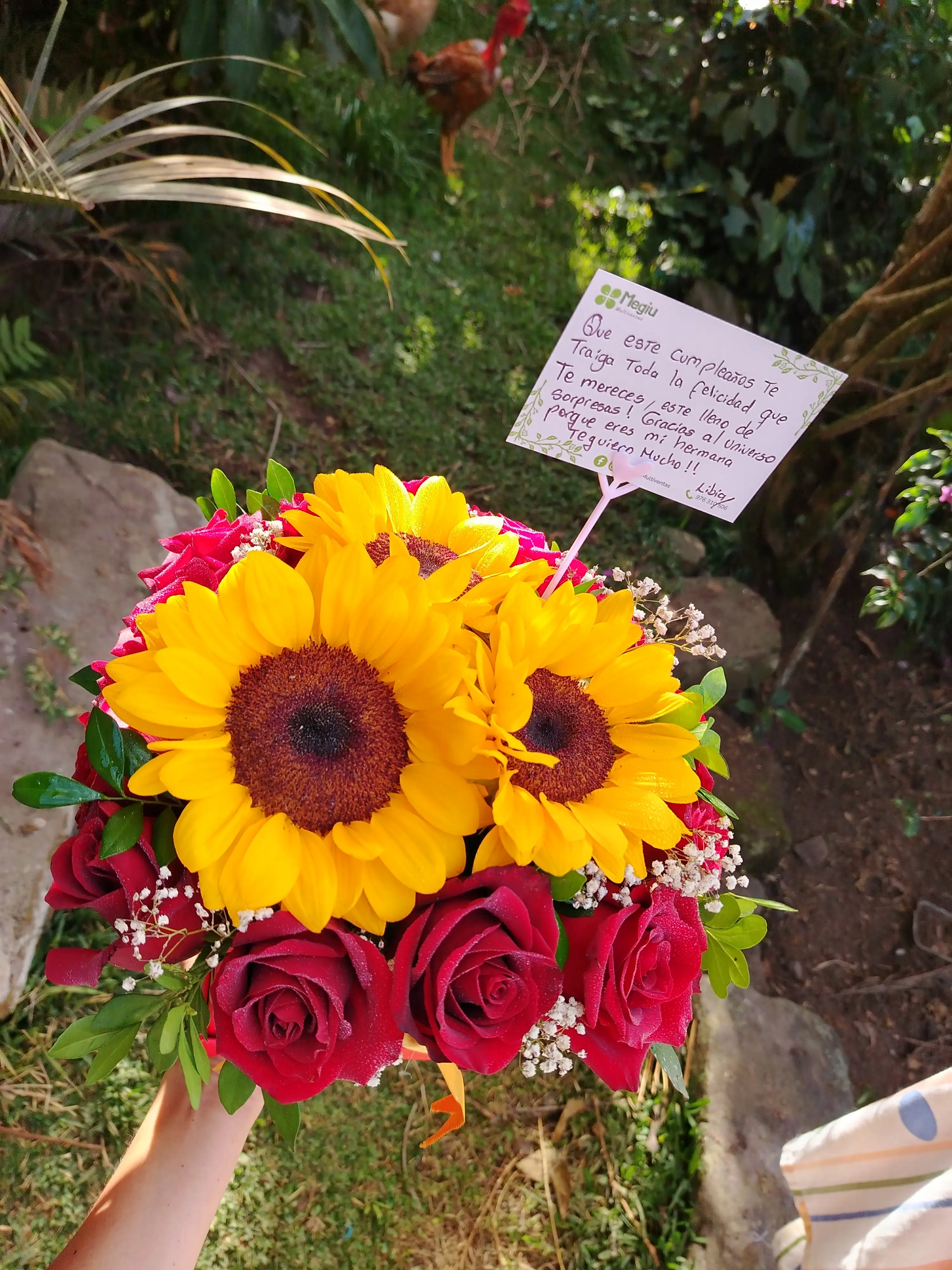 BOX ROSAS GIRASOLES 2