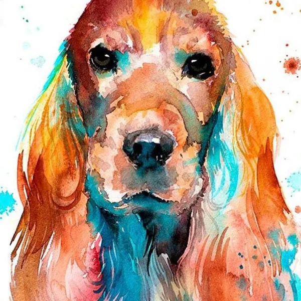 Cocker Spaniel