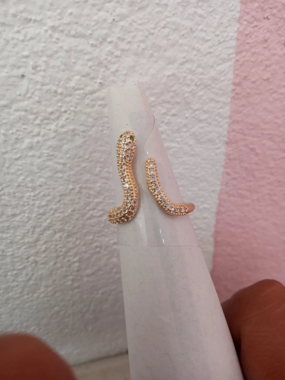 Anillo de vibora 2