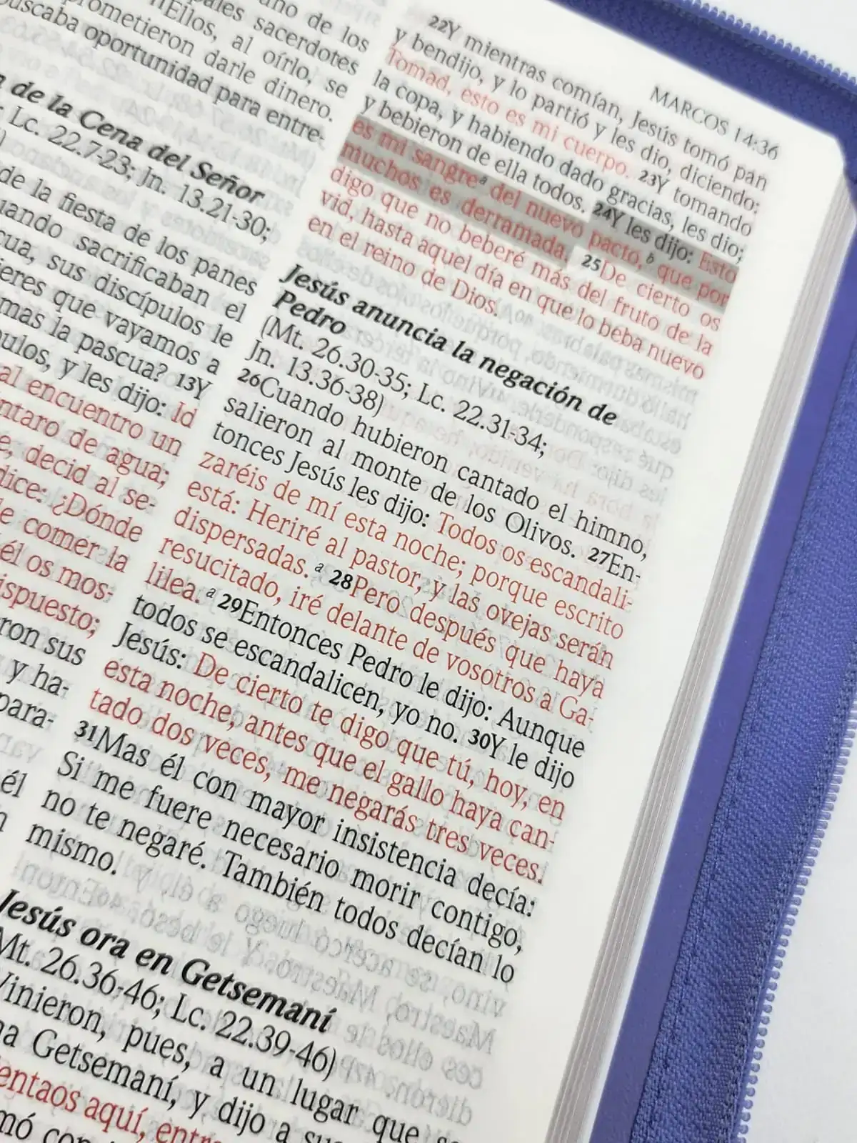 Biblia RVR60 de Promesas Letra Gigante con Cierre 3