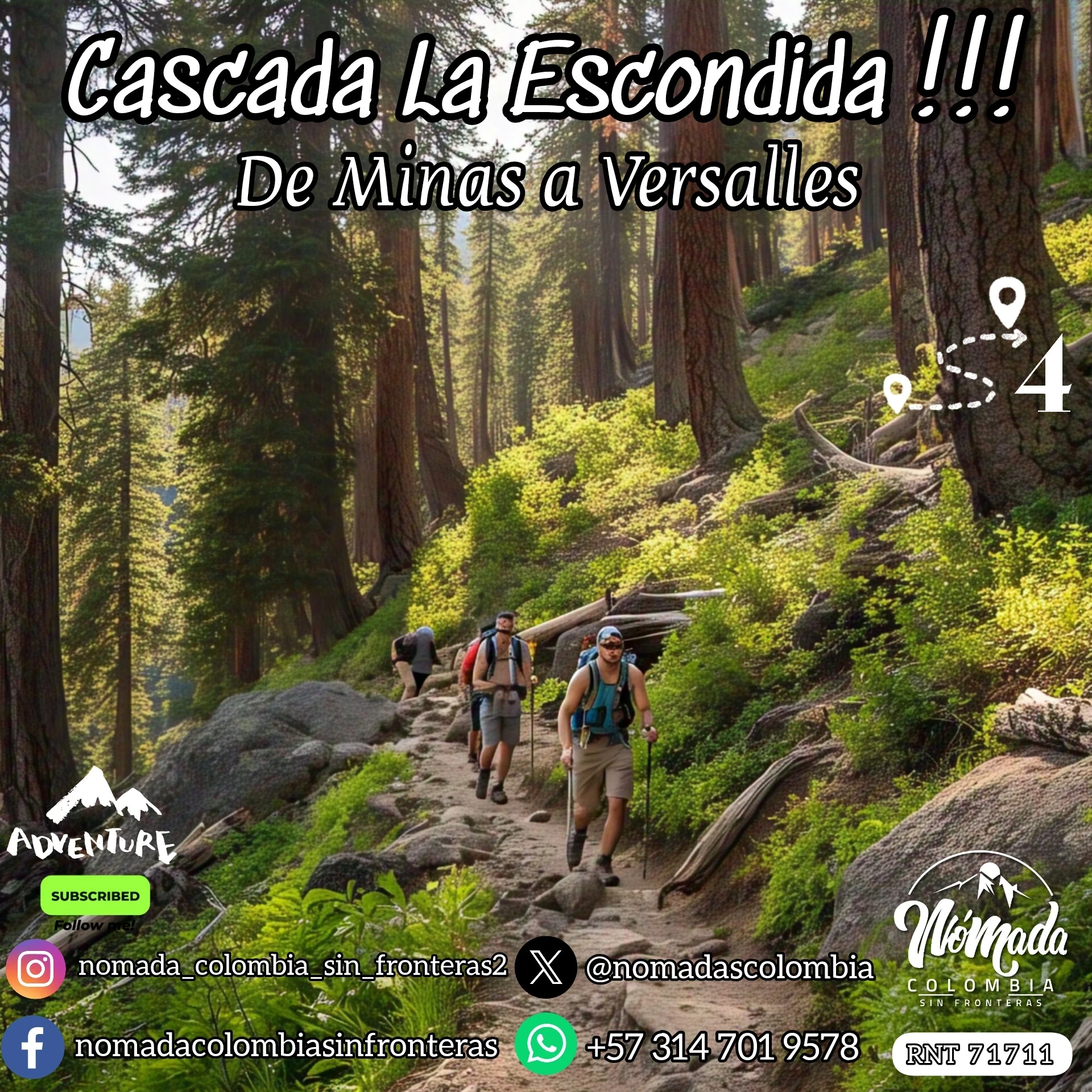 ENTRE PINOS Y MONTAÑAS ANTIOQUEÑAS