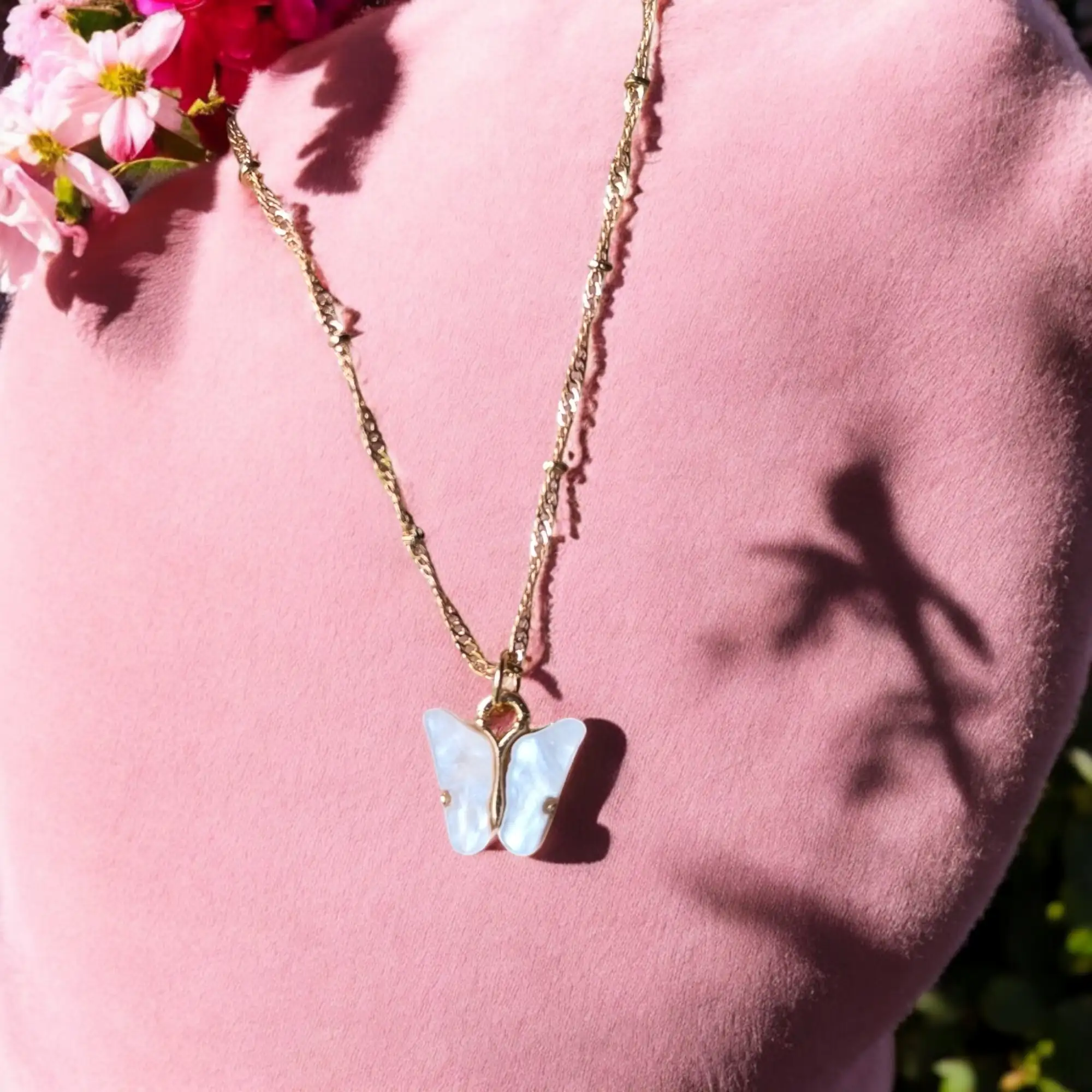 Mariposa Nacarada  3