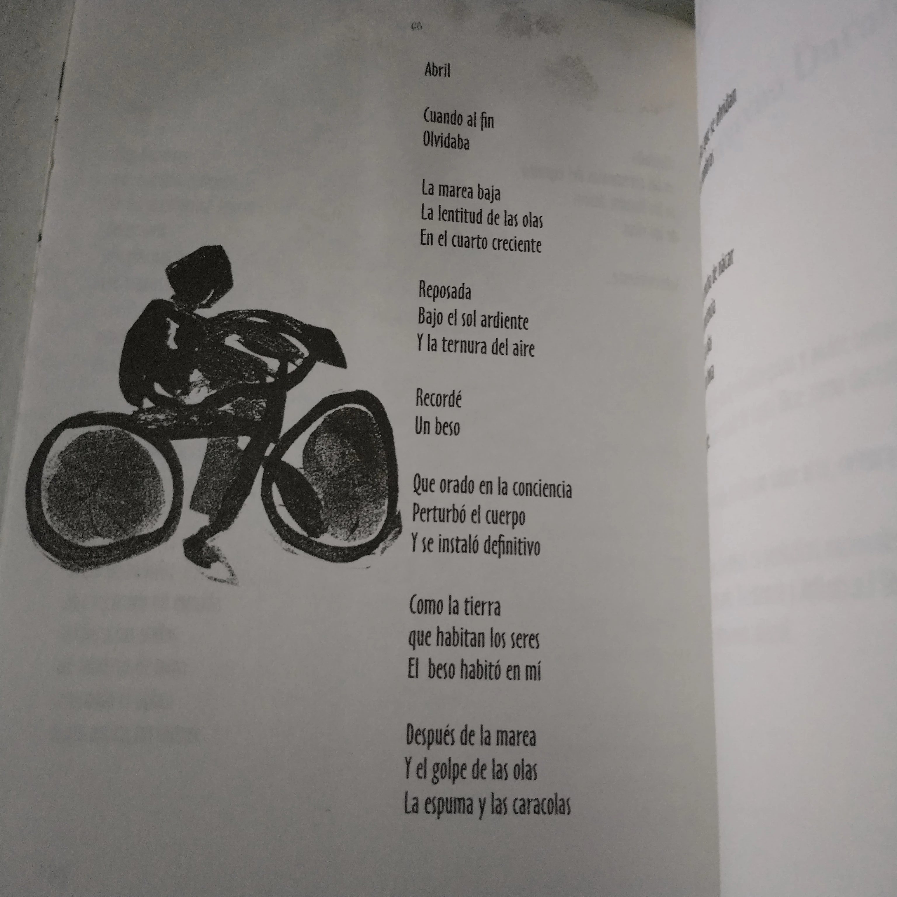 Tak Mewo, Macarena Barahona, usado 3