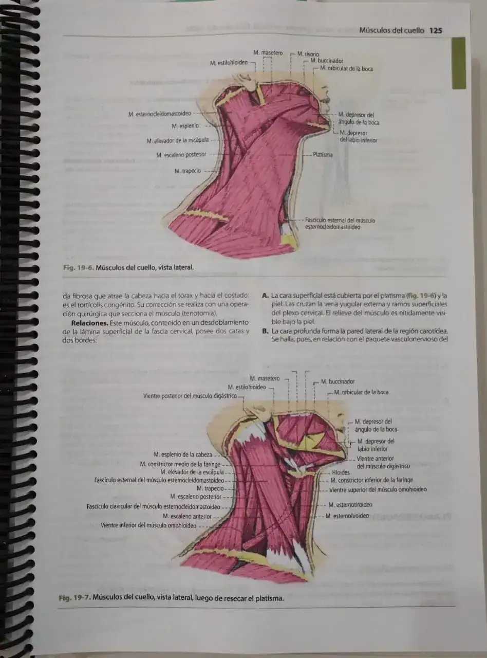 Anatomía Humana Tomo1-Latarjet 5ª Ed. 2
