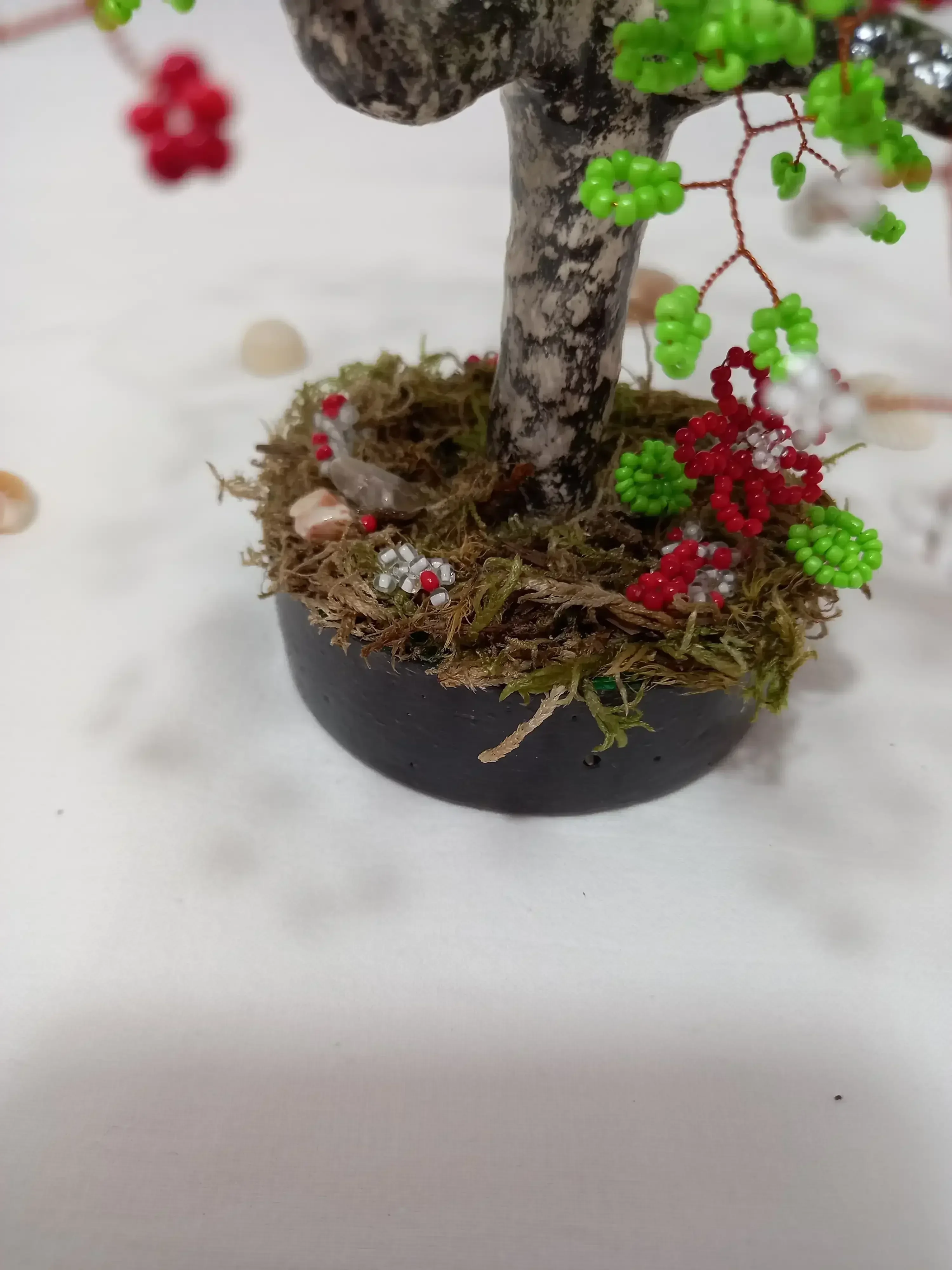 Bonsai Primavera Roja 2